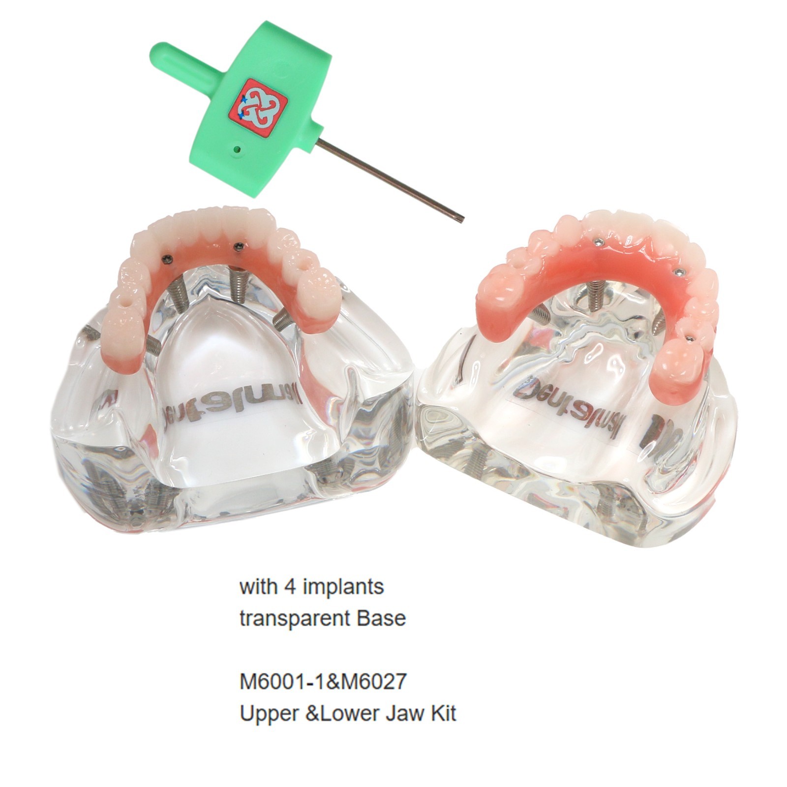 US Dental Implant Teeth Model Overdenture All on 4/All on 6 treatment Demo Model
