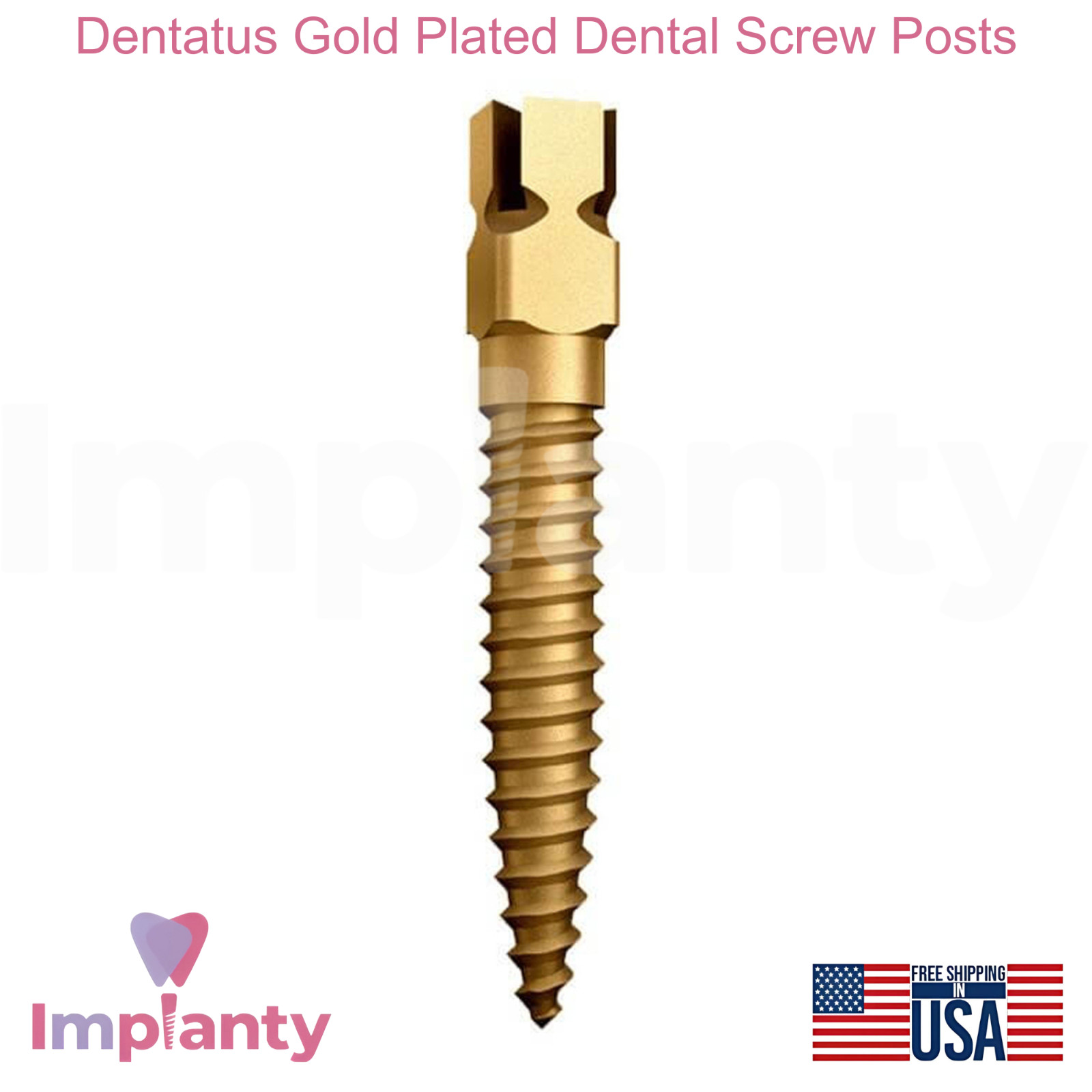 Dentatus Titanium Gold Plated 12 Screw Posts Post & Core Build-up Solution
