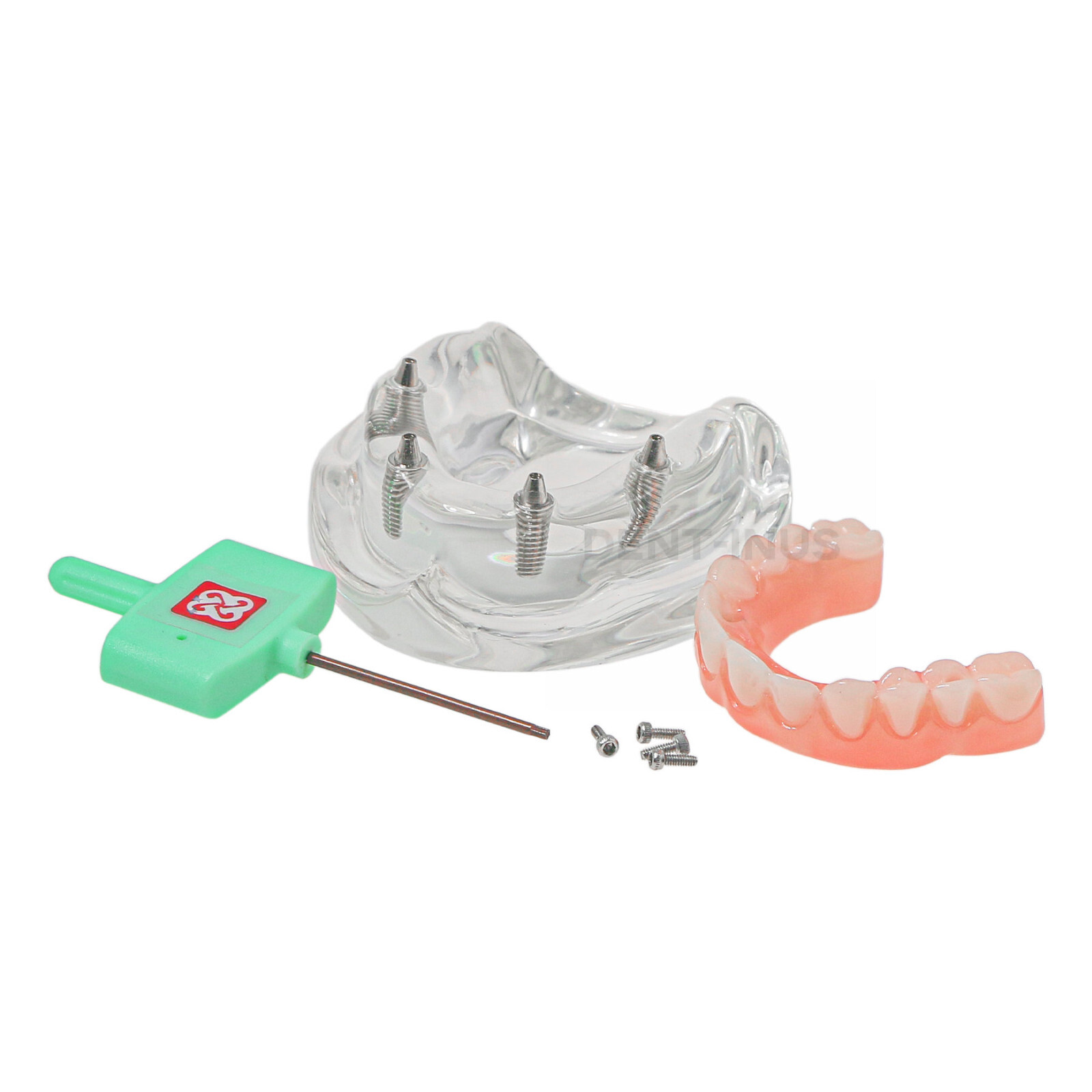 Dental Implant Upper Jaw Detachable Model 4 Screws Post Core Bridge Model