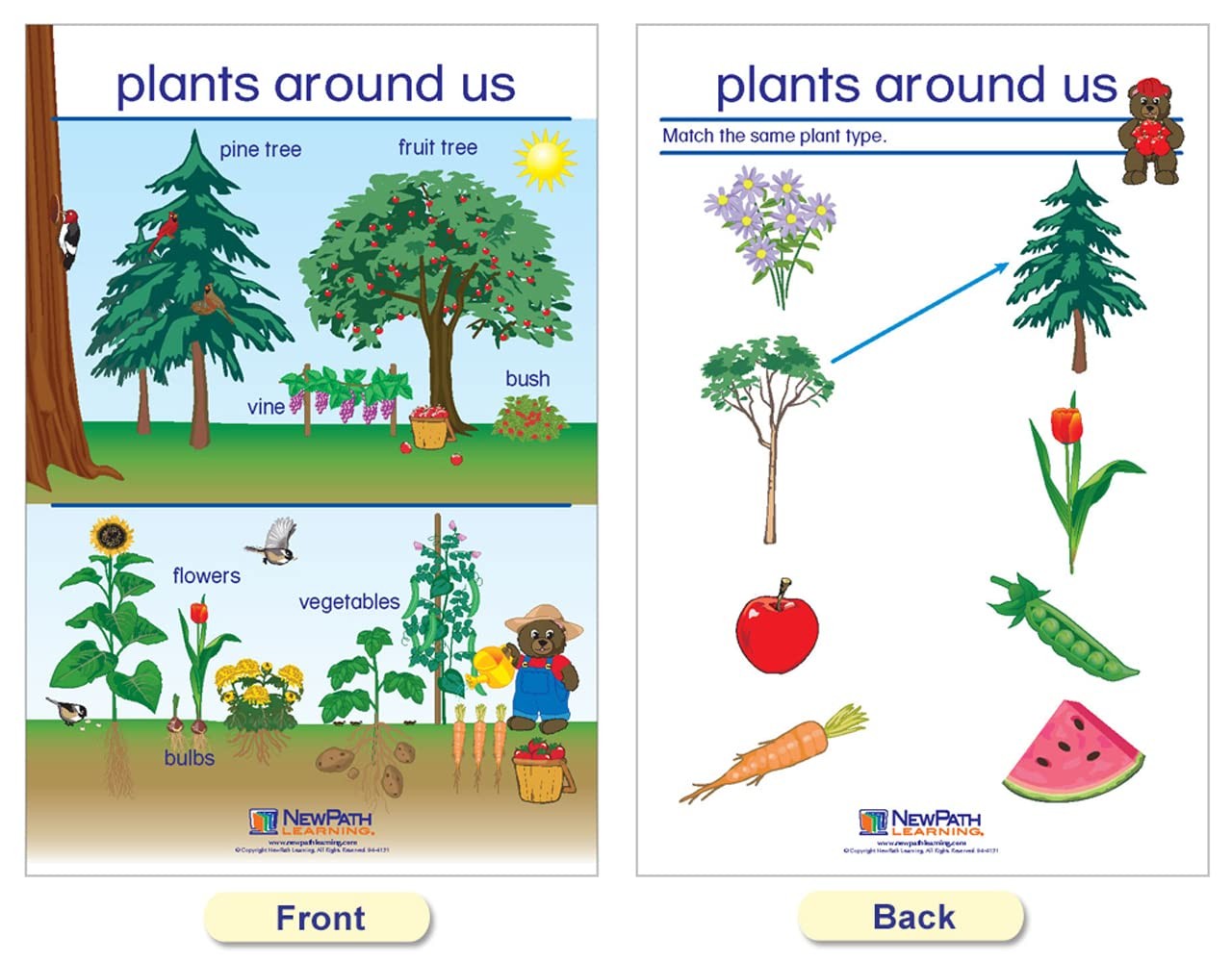 Newpath Learning Newpath All About Plants Bulletin – –