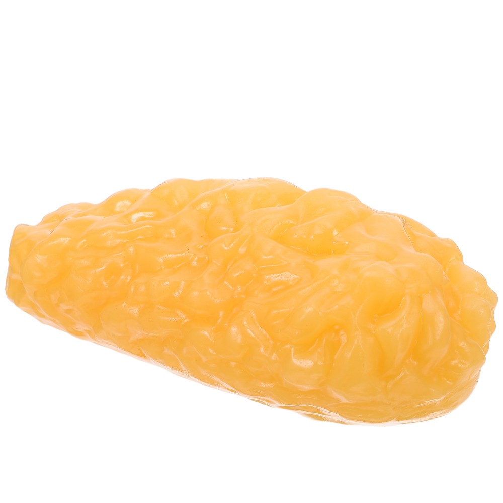 Human Body Fat Model Display Tool Tissue