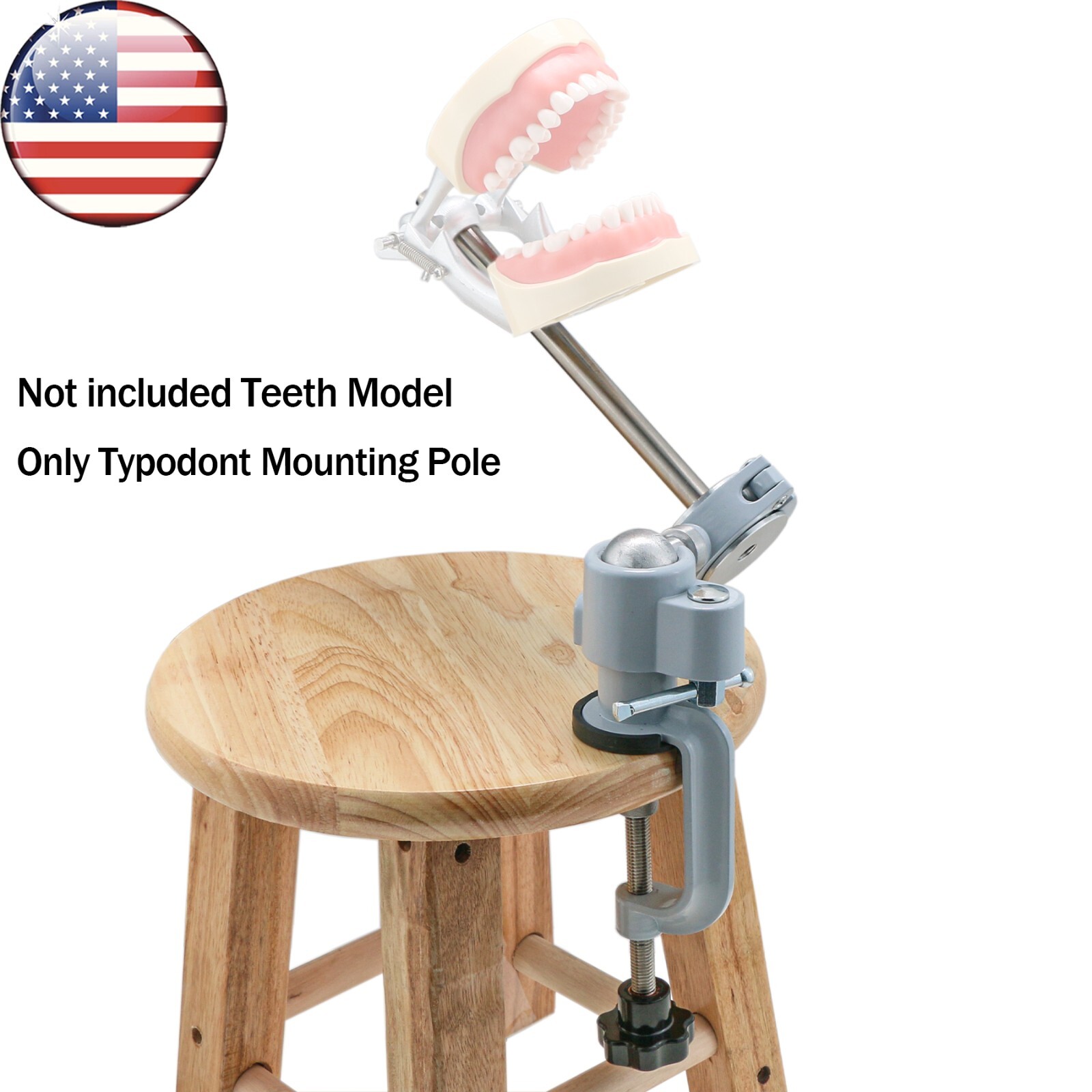 US Dental Typodont Mounting Pole fit Kilgore Nissin Columbia Frasaco Teeth Model