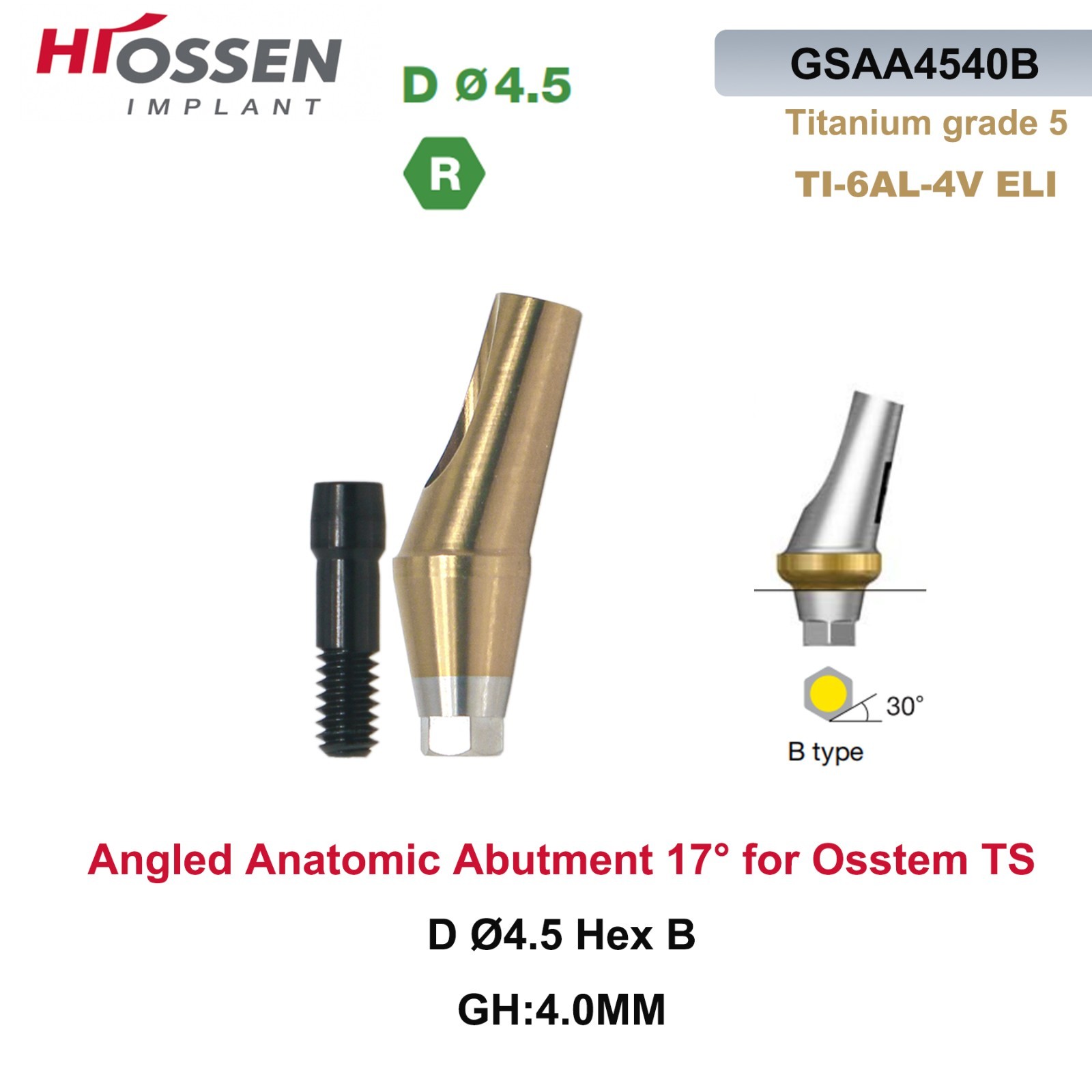 17° Angled Abutment Mini/Regular Hex Compatible with Osstem TS Implants Titanium
