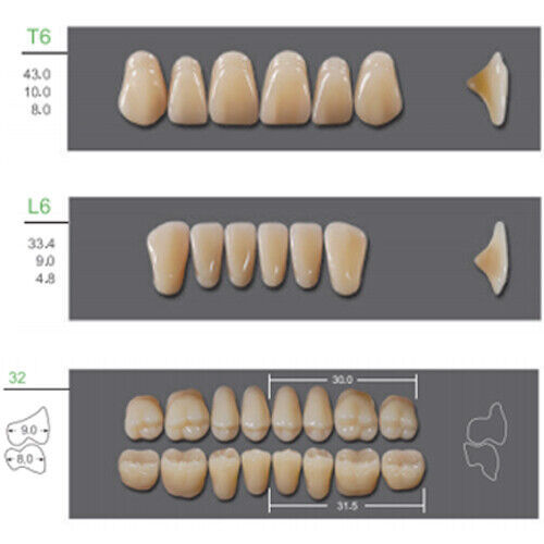 Huge Kaili Synthetic Polymer False Teeth Shade B1 Full Set: 28 teeth/set 4 sets