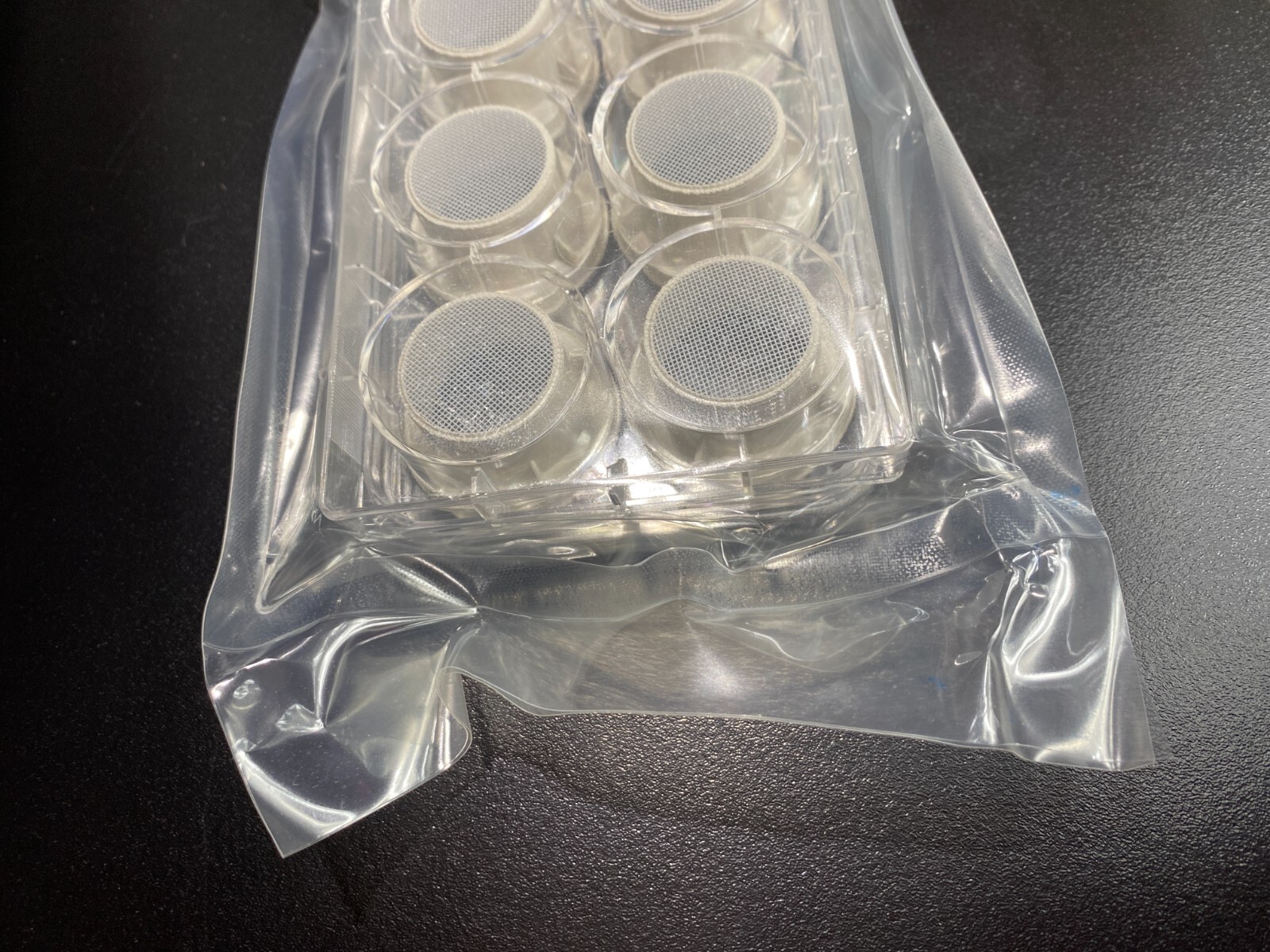 Corning Netwell Insert 440 um Membrane Diameter 24 mm Total of 48 Strainers