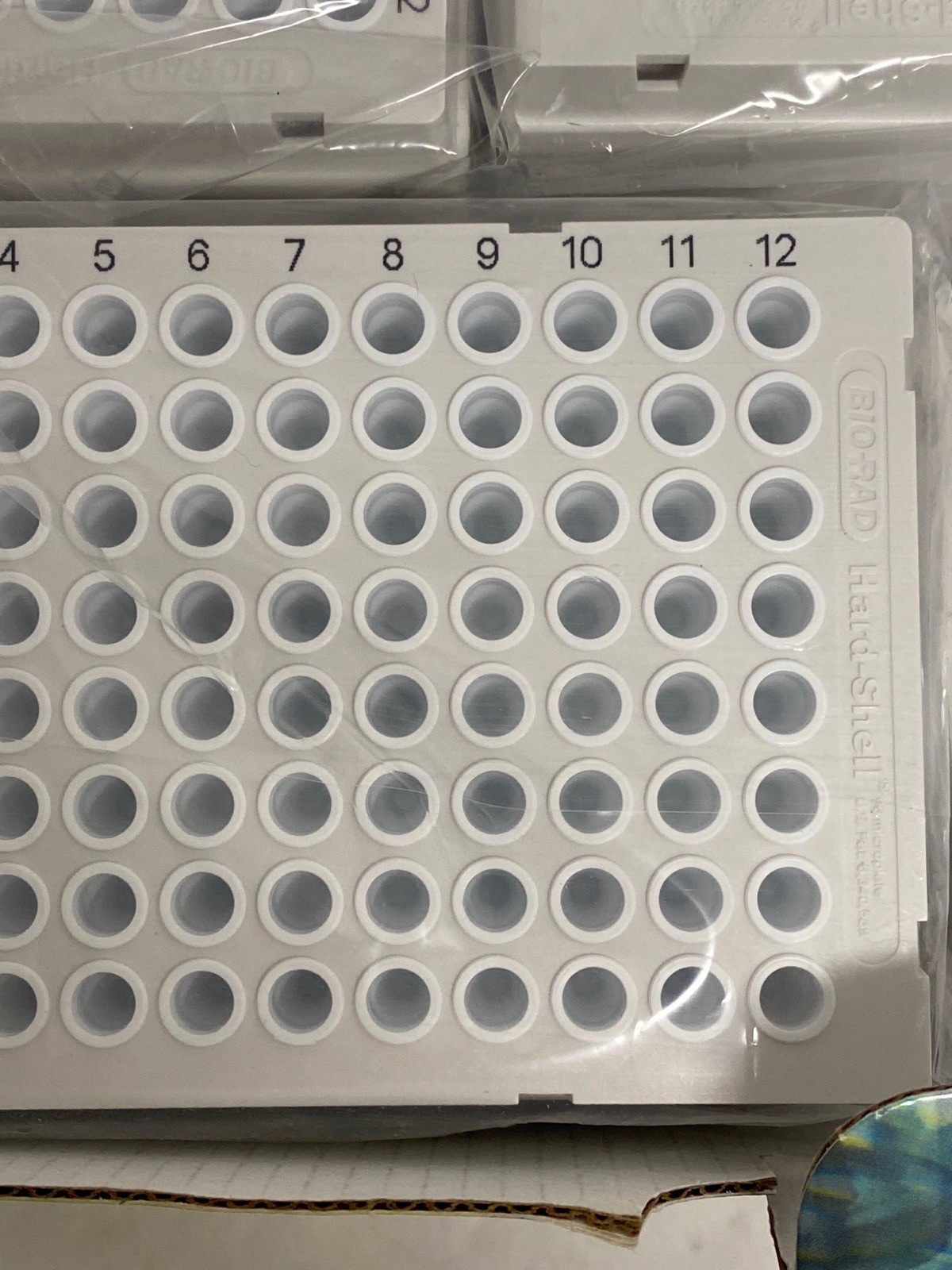 (47) BIO-RAD 96-Well Thin Wall Hard-Shell PCR Culture Plates White HSP9655