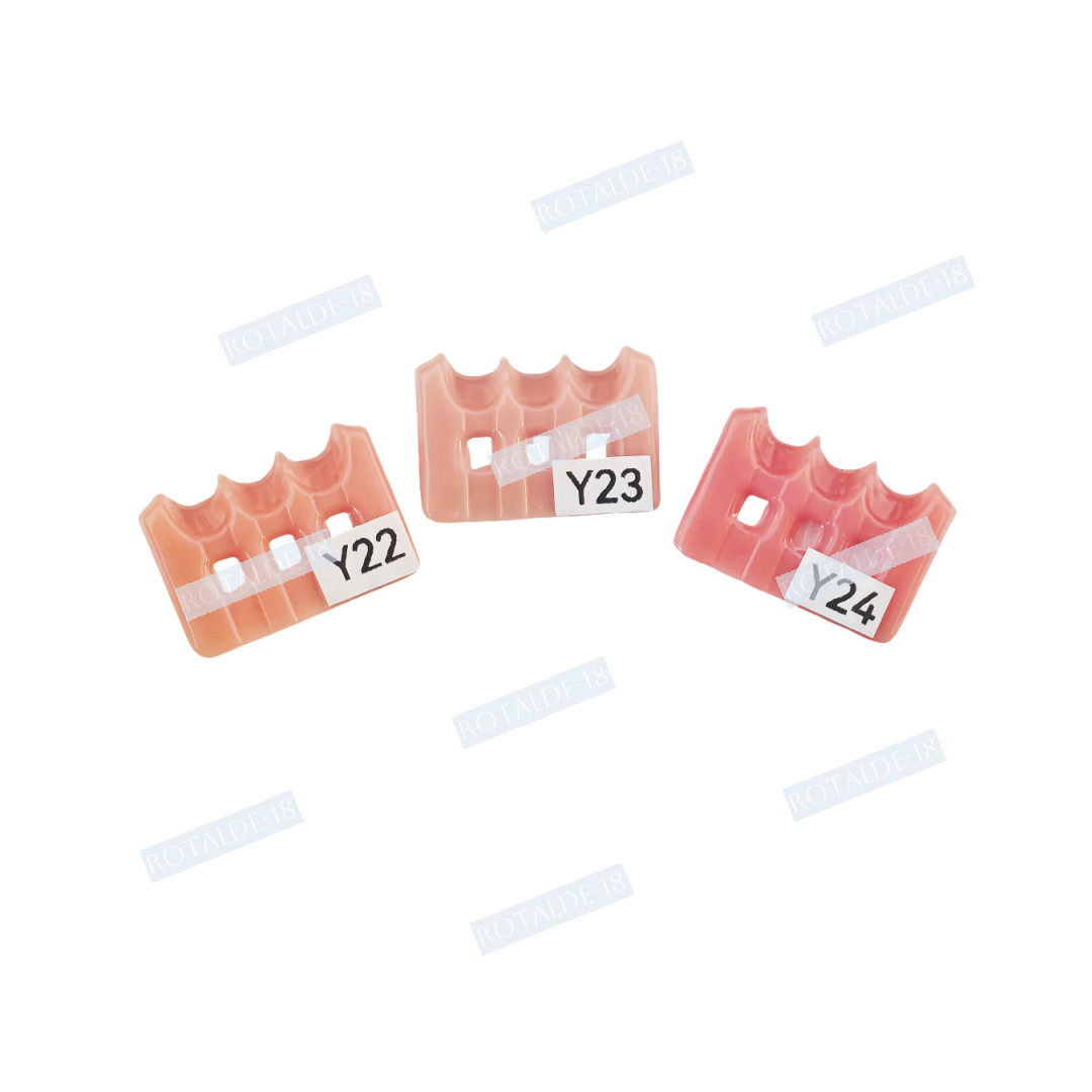 Gum Shade Gingiva Color Plate Indicator Tri-Color Gummy Model Similar SHOFU GC