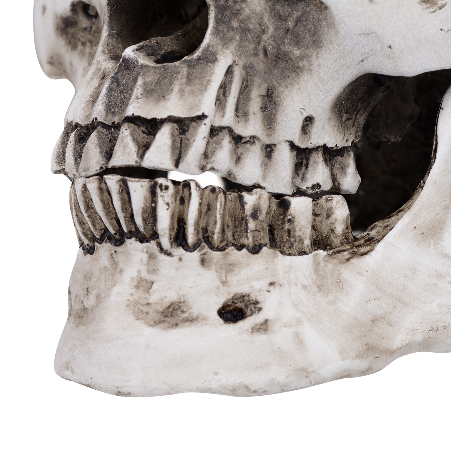 1:1 Retro HumanSkull Replica Resin Anatomical Model Removable Jaw/Chin Realistic