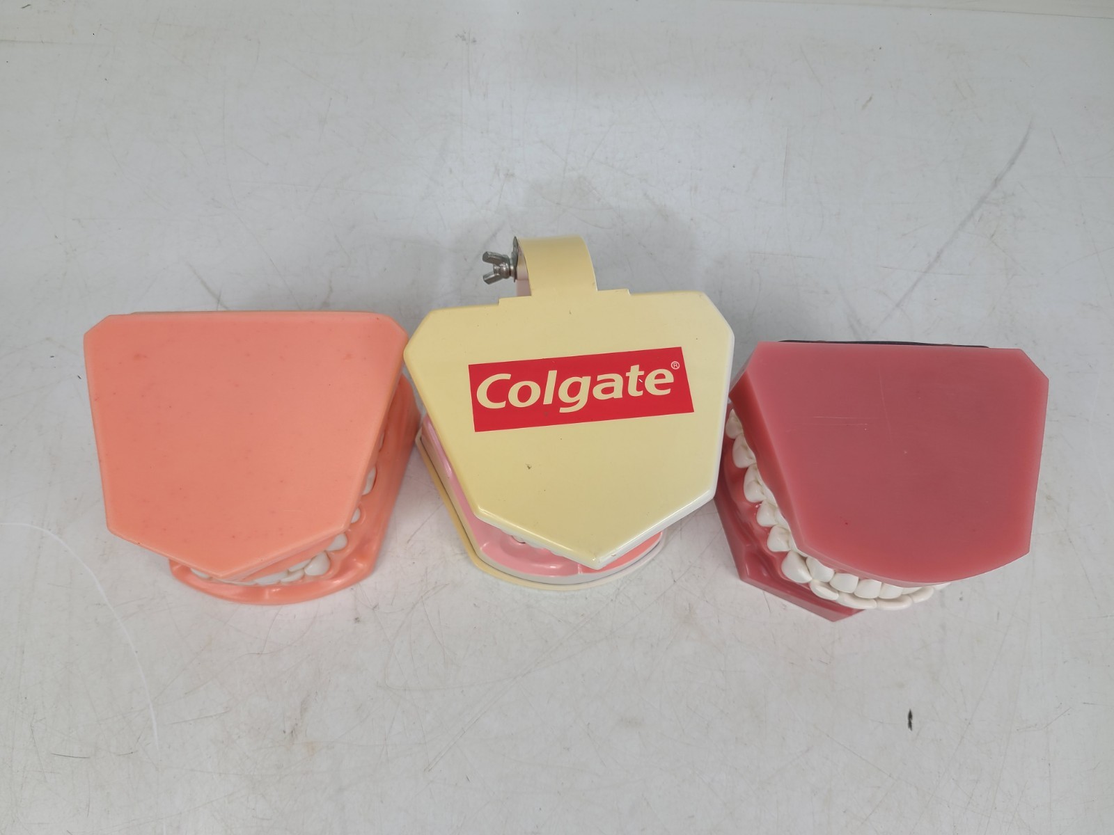 Colgate Teeth Model Display With Removable Teeth Training Aid Lot Of 3