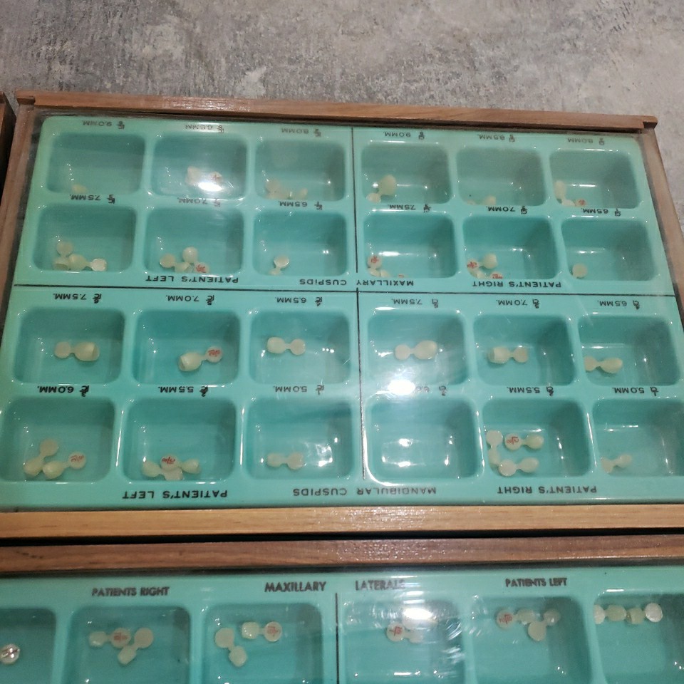 Dental Wood Cabinet With 100’s of Polycarb & Transparent Plastic Crown Forms
