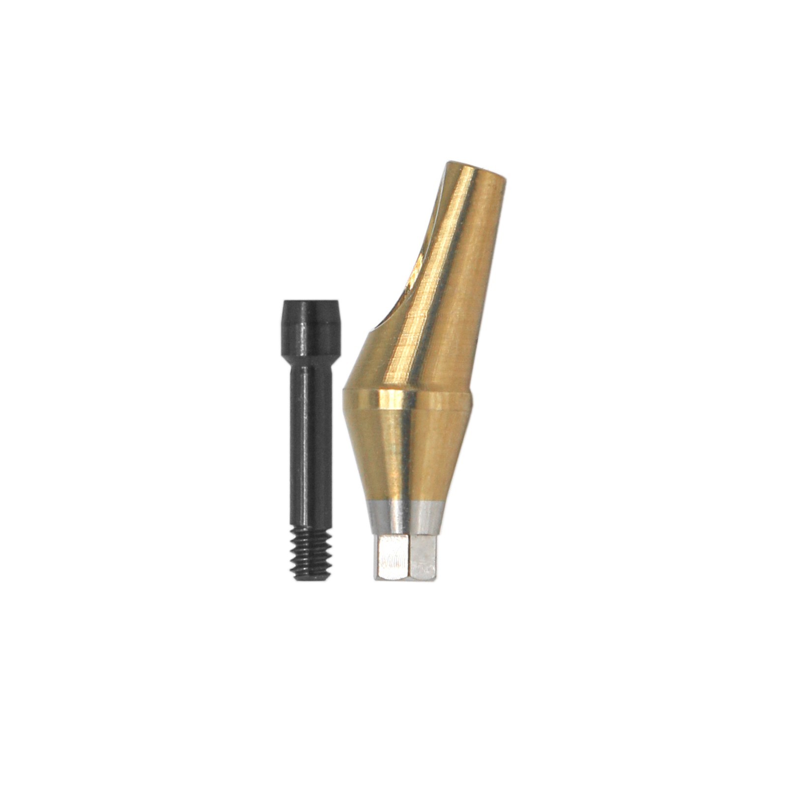 US Dental 17° Angled Anatomic Abutment Mini /Regular Fits Hiossen Osstem TS