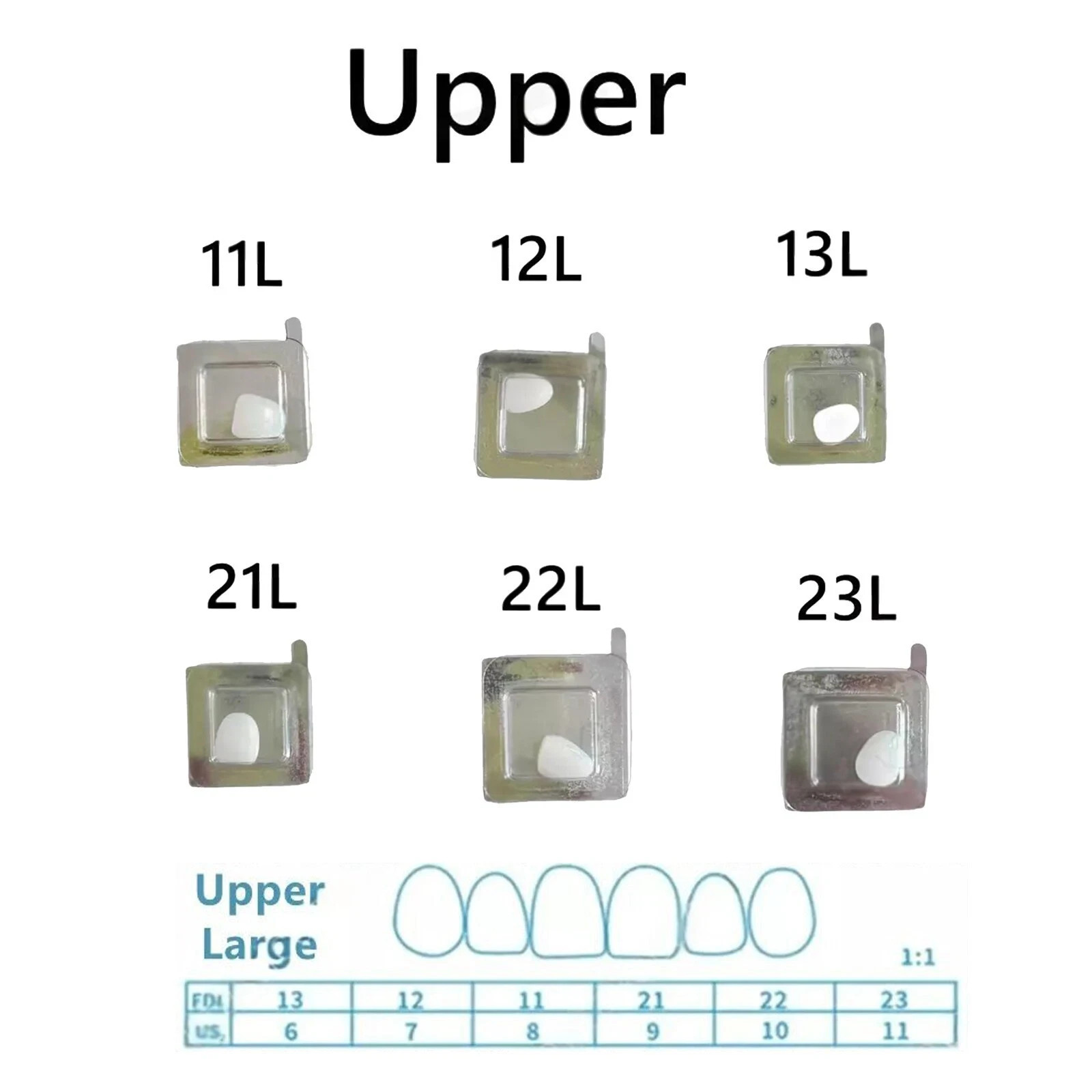 Dental Composite Upper/Lower Resin Light Cure Anterior Teeth Front Teeth Veneers