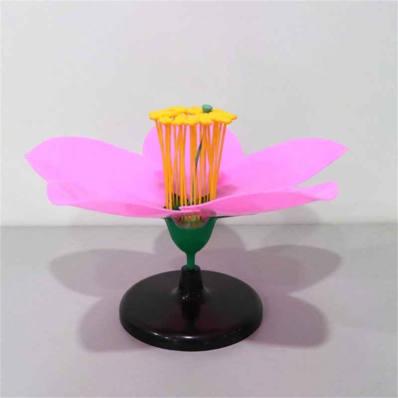 Detachable Plastic Peach Blossom Model Suitable for Detailed Study