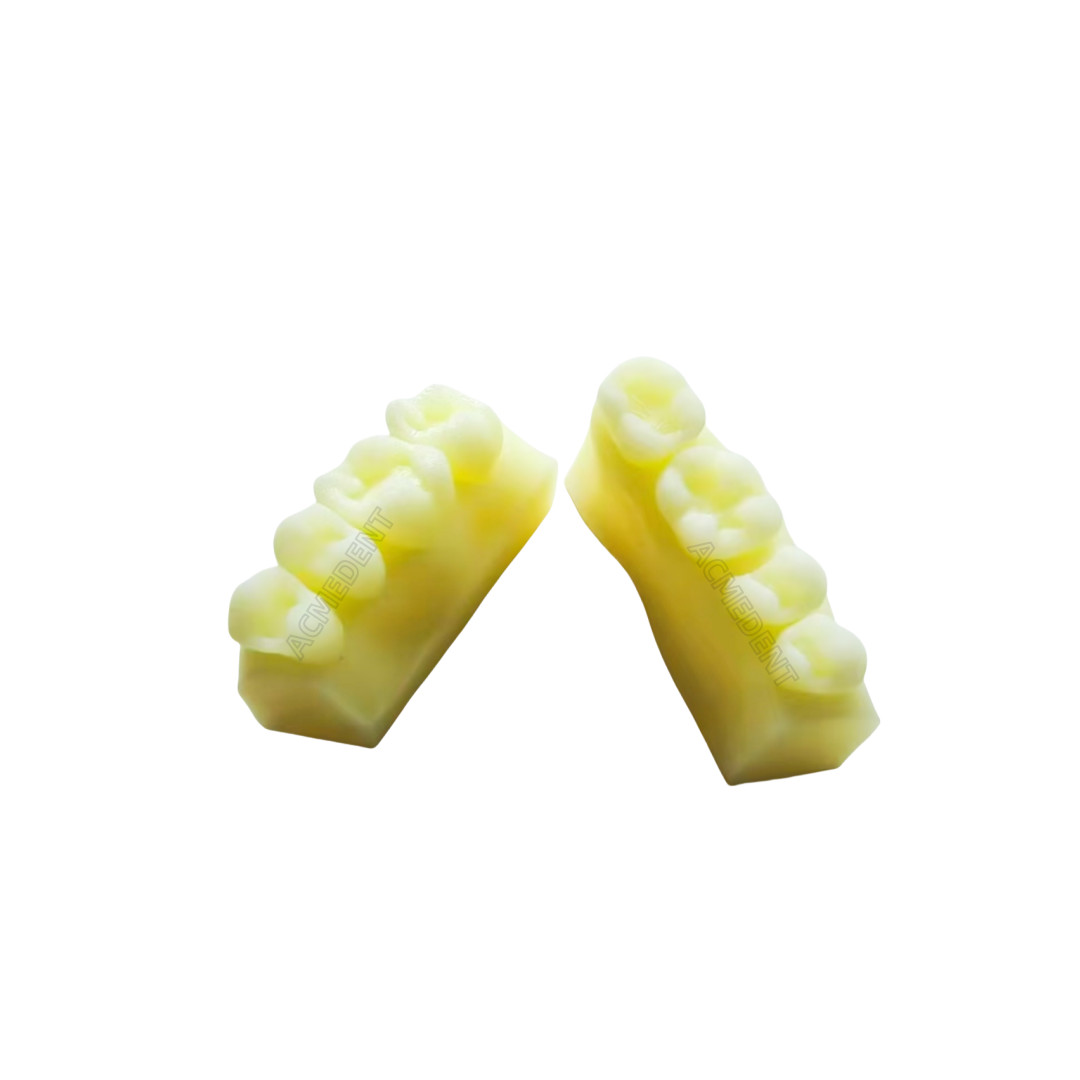 10Sets Dentist Education Sectional Matrix Daily Practice Course Composite Resin