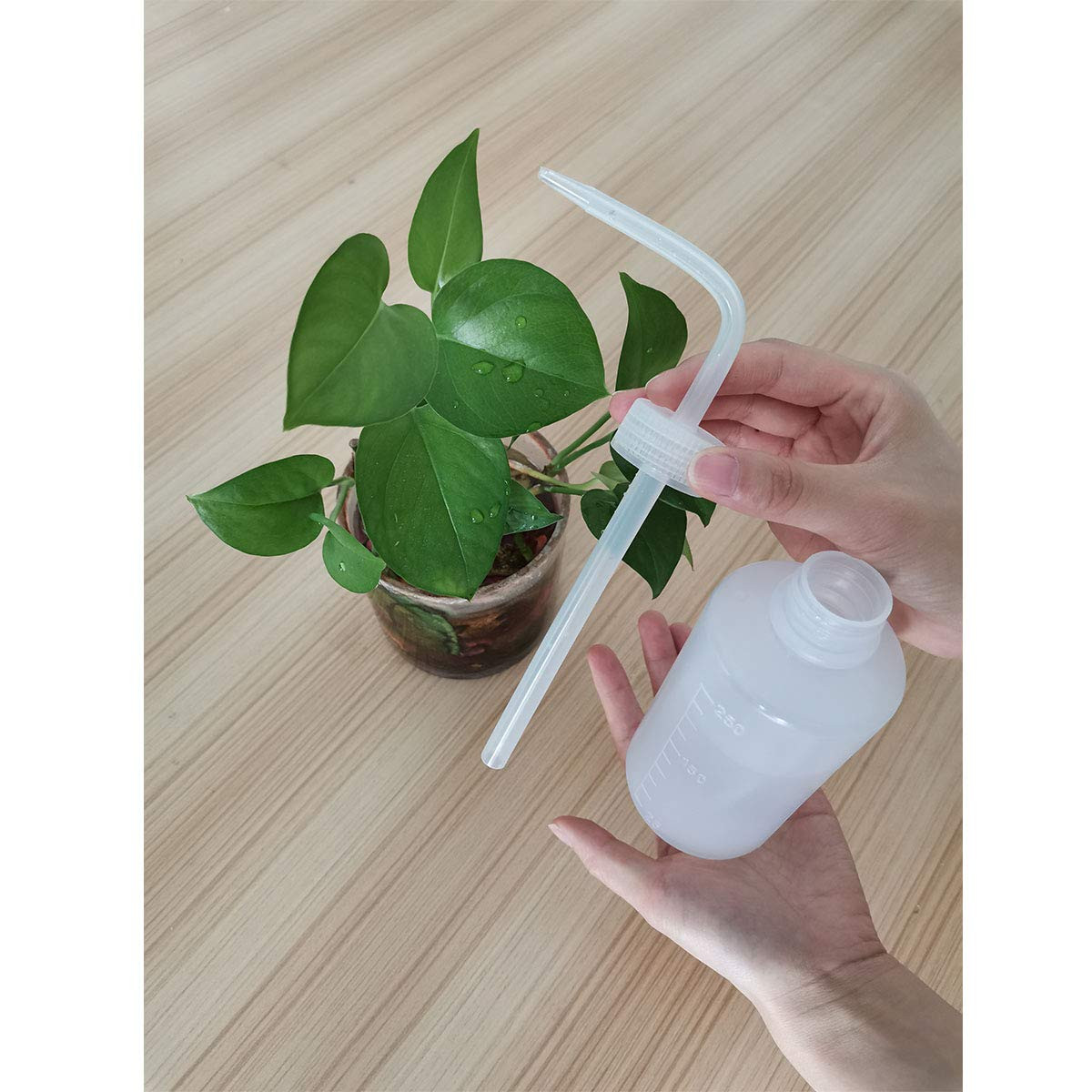 Plastic Squeeze Bottle, 250Ml | 8Oz Wash Bottle Chemical
