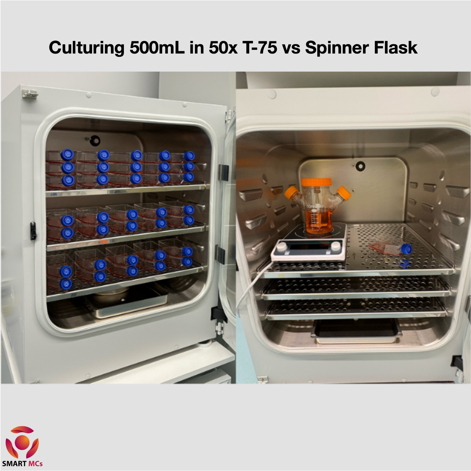 Magnetic Spinner Flask 125mL/500mL Cell Culture Flask