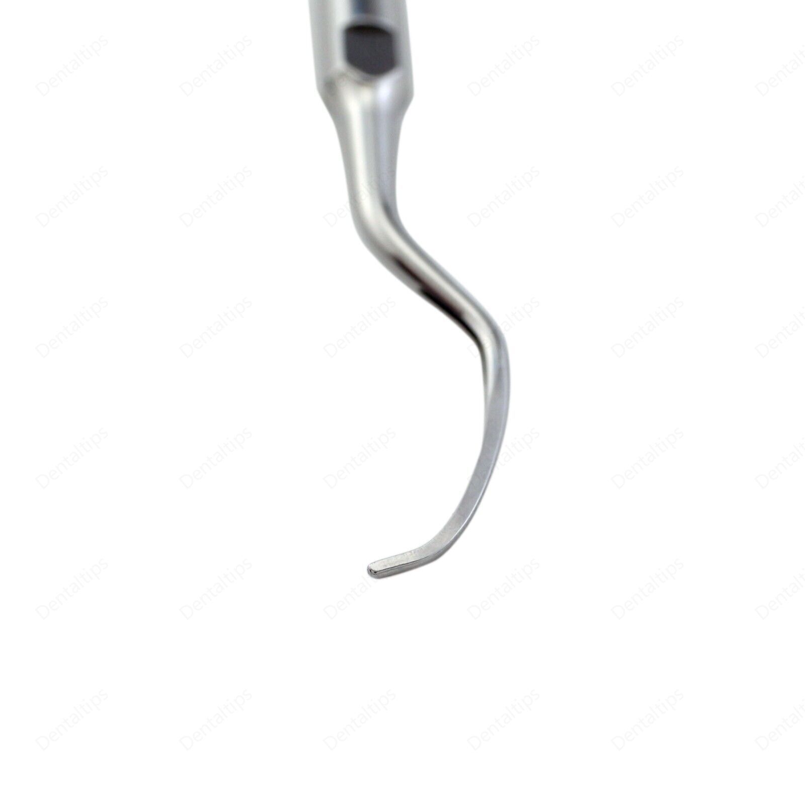 Dental Ultrasonic Periodontal Scaler Scaling Tip H3 Fit Satelec Acteon DTE NSK