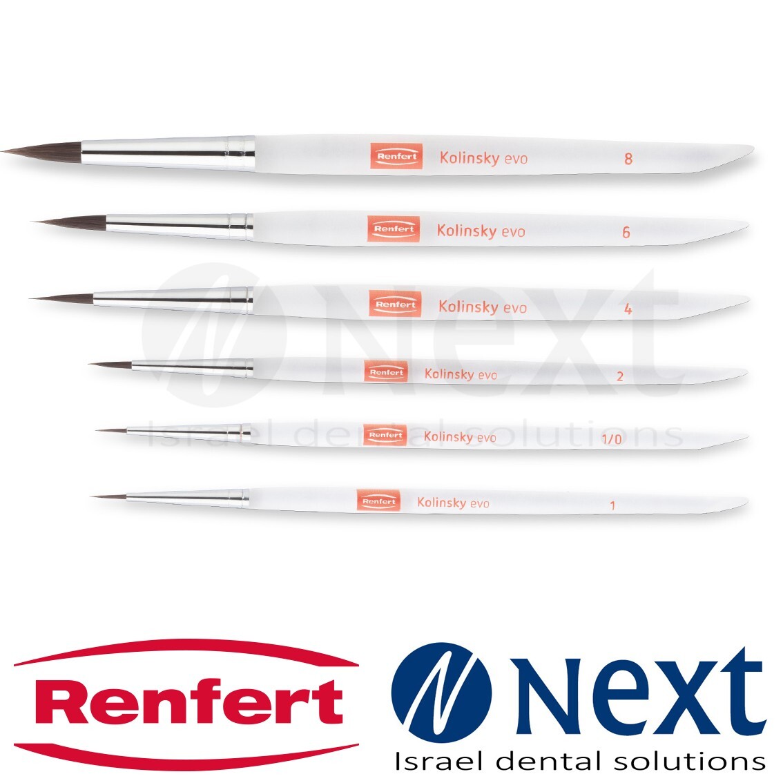 Dental Lab Kolinsky evo Bionic hair brush SET with 6 brush Renfert 17243000