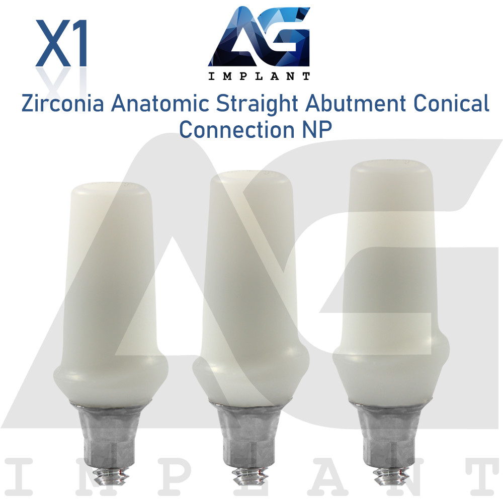 Zirconia Anatomic Straight Prosthetic NP Conical Connection With Screw
