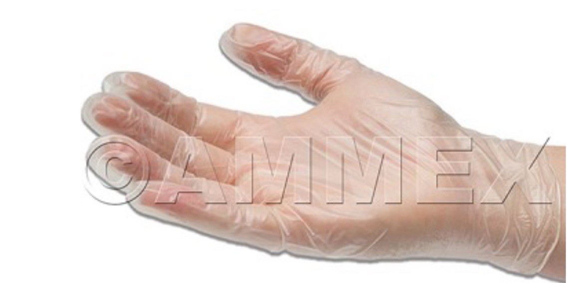 1000 (10 Boxes) AMMEX L Large Professional Vinyl Exam Gloves Latex Powder Free