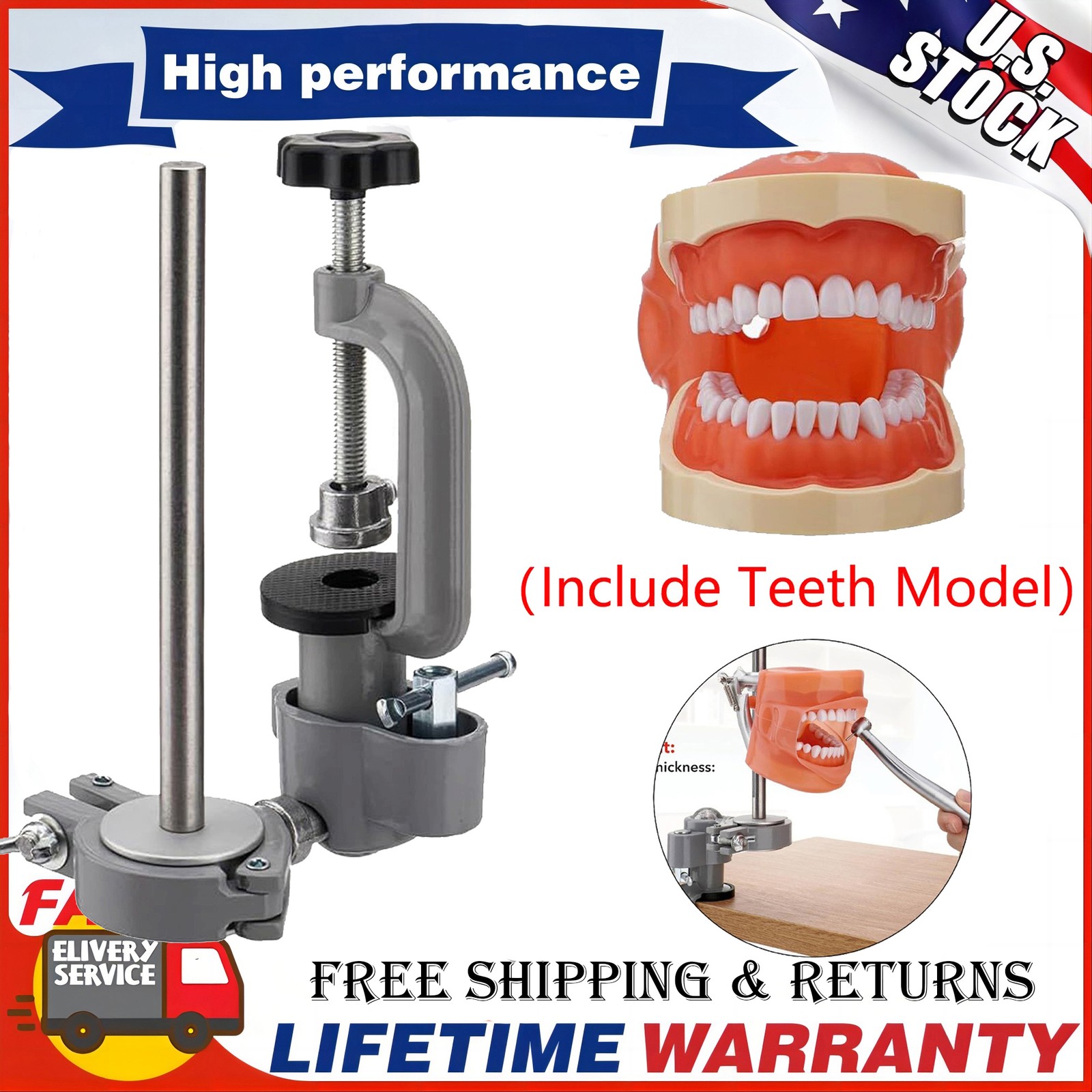 Kilgore Nissin 200 Type Dental Typodont Model 32pc Removable Teeth Mounting Pole