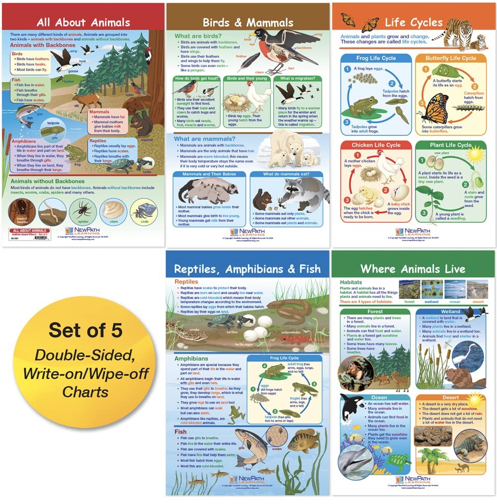 Newpath Learning-94-1501 All About Animals Bulletin Board Chart Set Pack Of 5