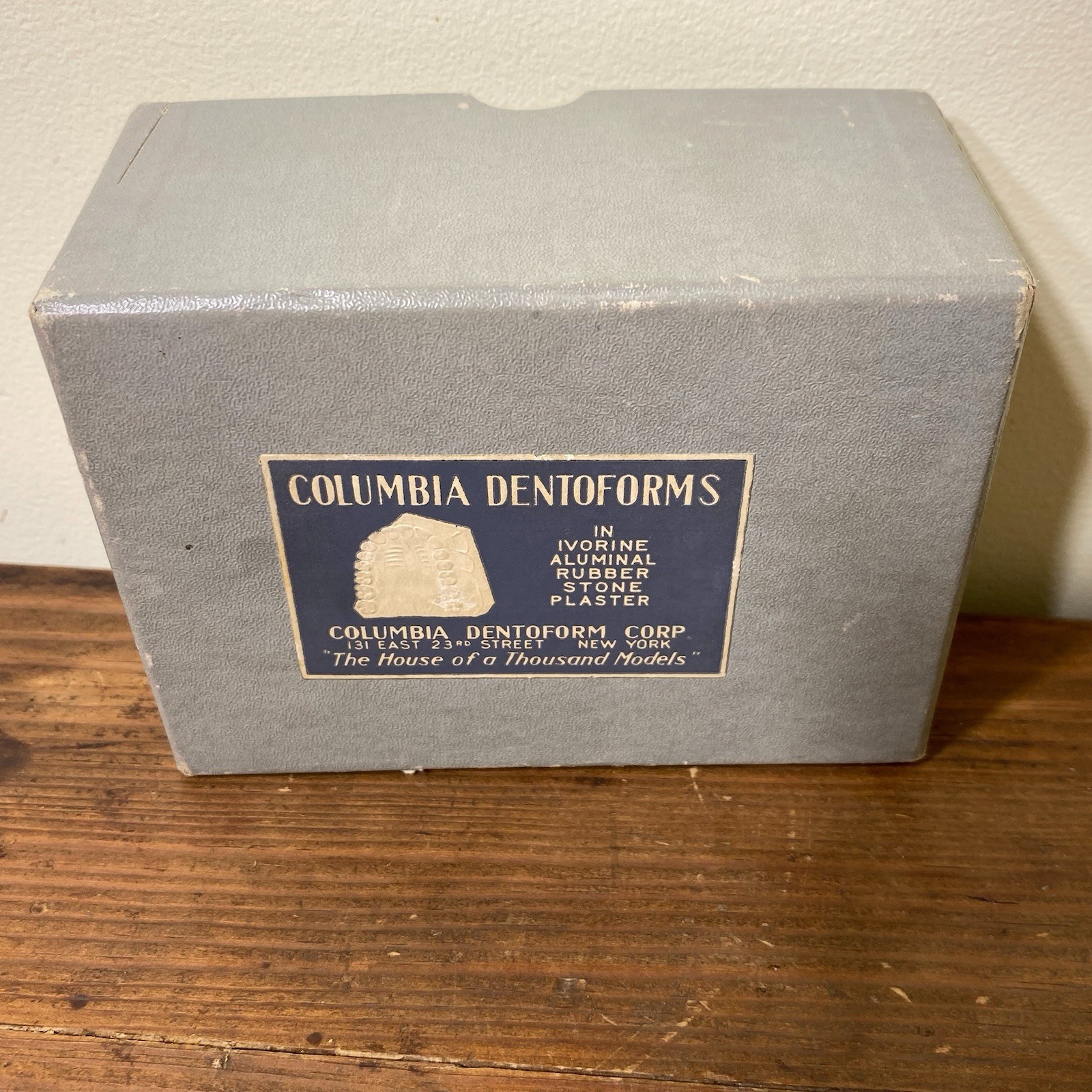 VTG Colombia Dentoform Dental Articulator Model Teeth Dentist Lab Tool Medical