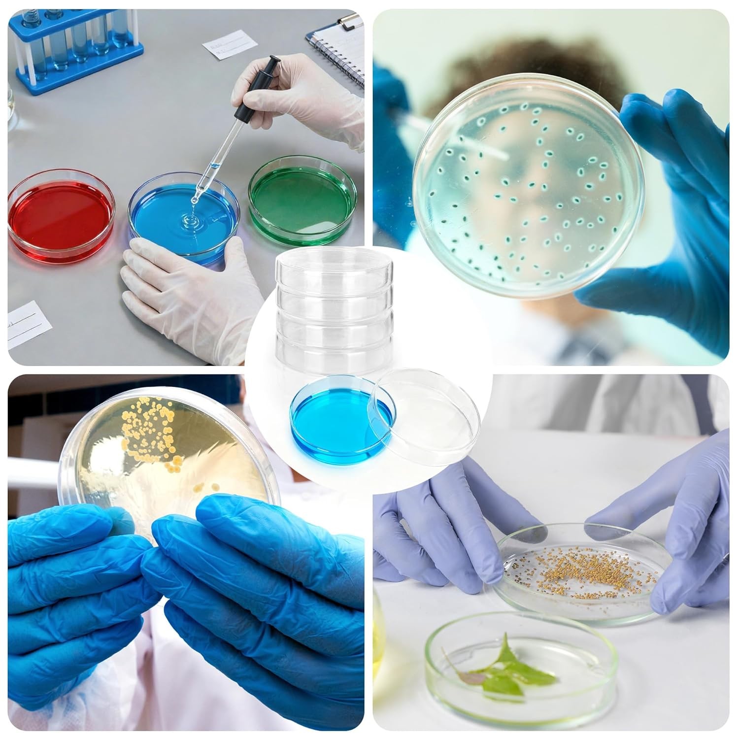 60mm High Borosilicate Glass Petri Dishes with Lids 10 Pack Petri Plates