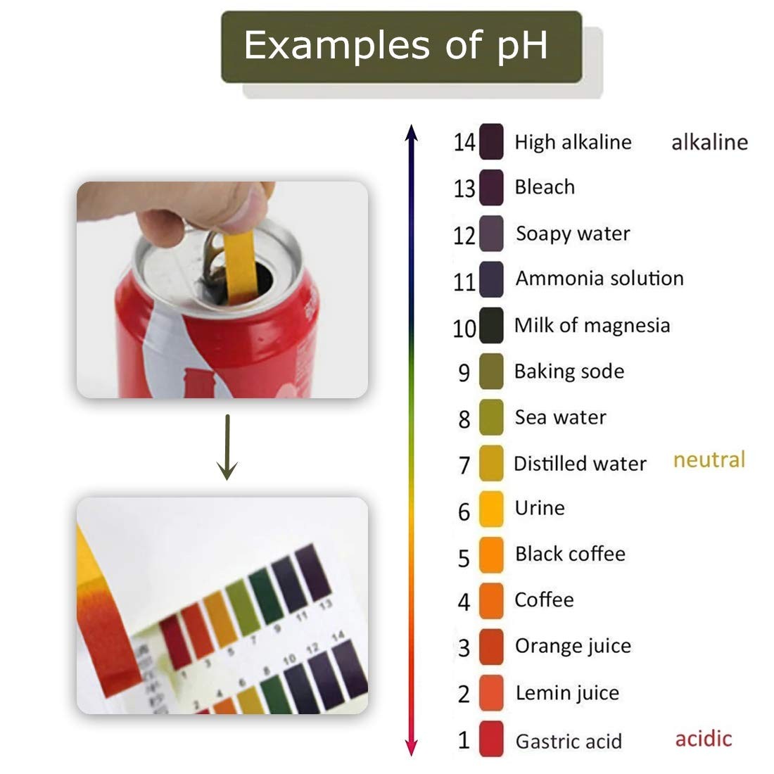 3 Pack pH.1-14 Test Paper Extensive 3 with Storage Case