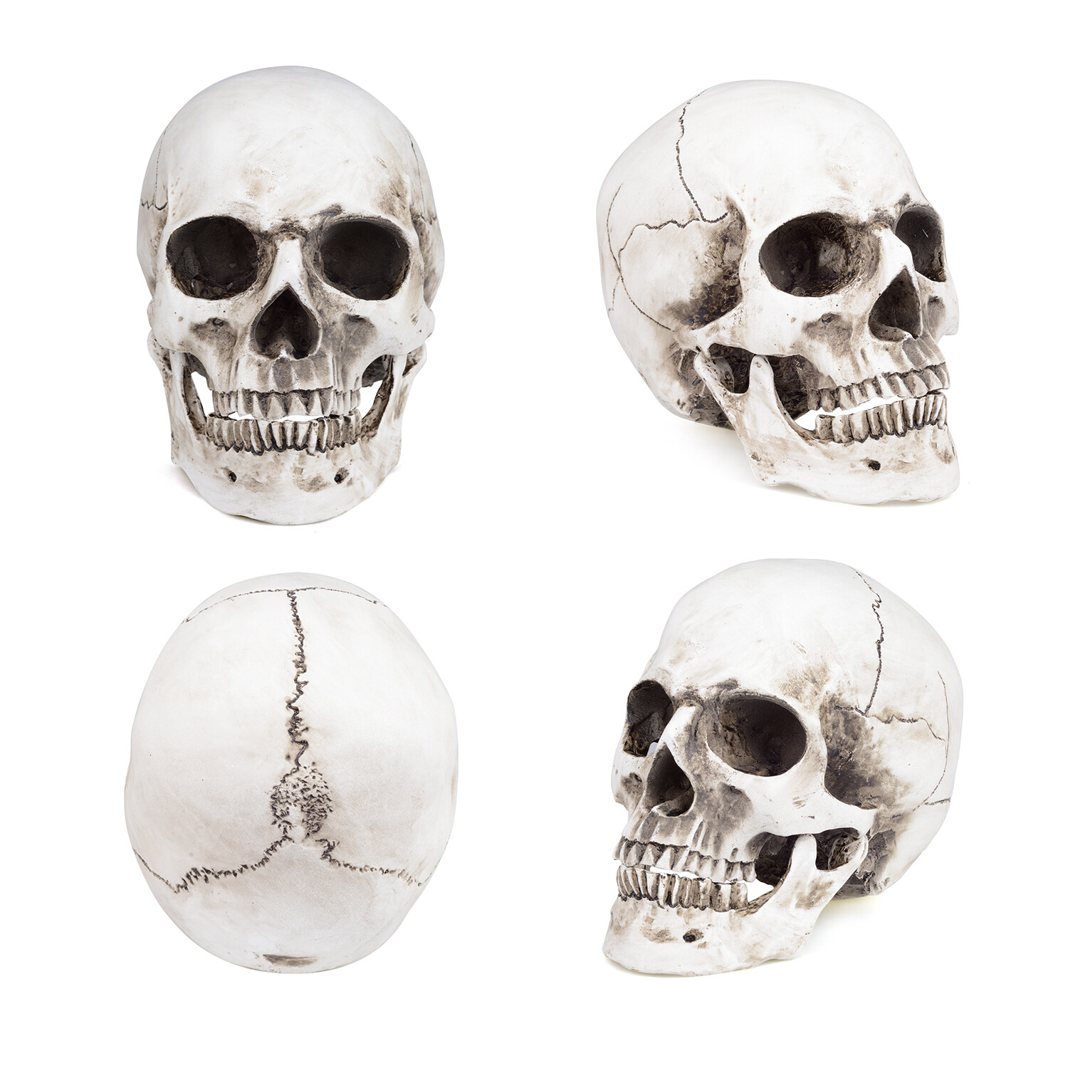 1:1 Retro HumanSkull Replica Resin Anatomical Model Removable Jaw/Chin Realistic