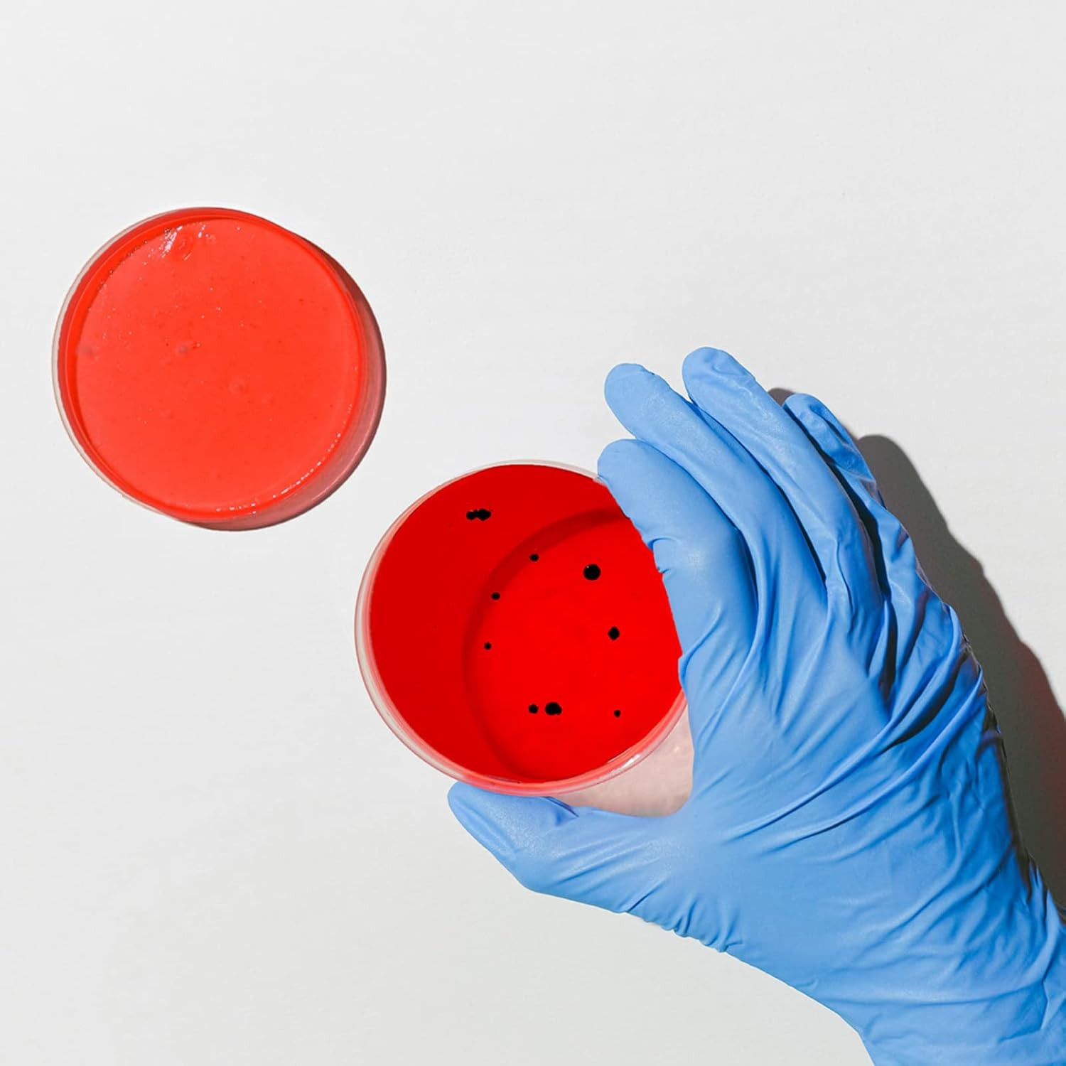 Bekith Petri Dishes with Lids, 50 Pack 90Mm Dia X 15Mm Deep Plastic Sterile