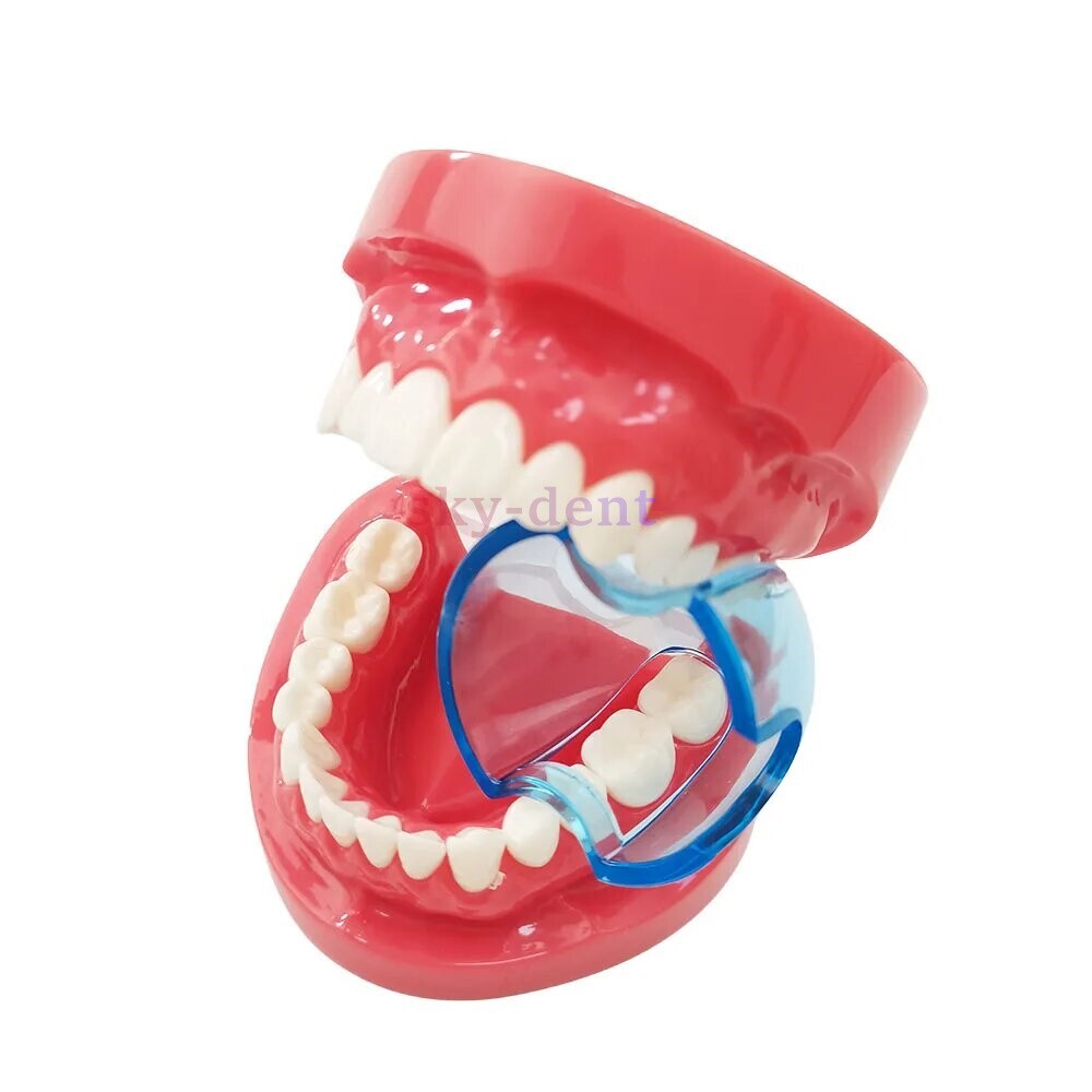 Dental Double Cheek Lip Retractor Teeth Dilator Opener Anterior/Posterior Teeth