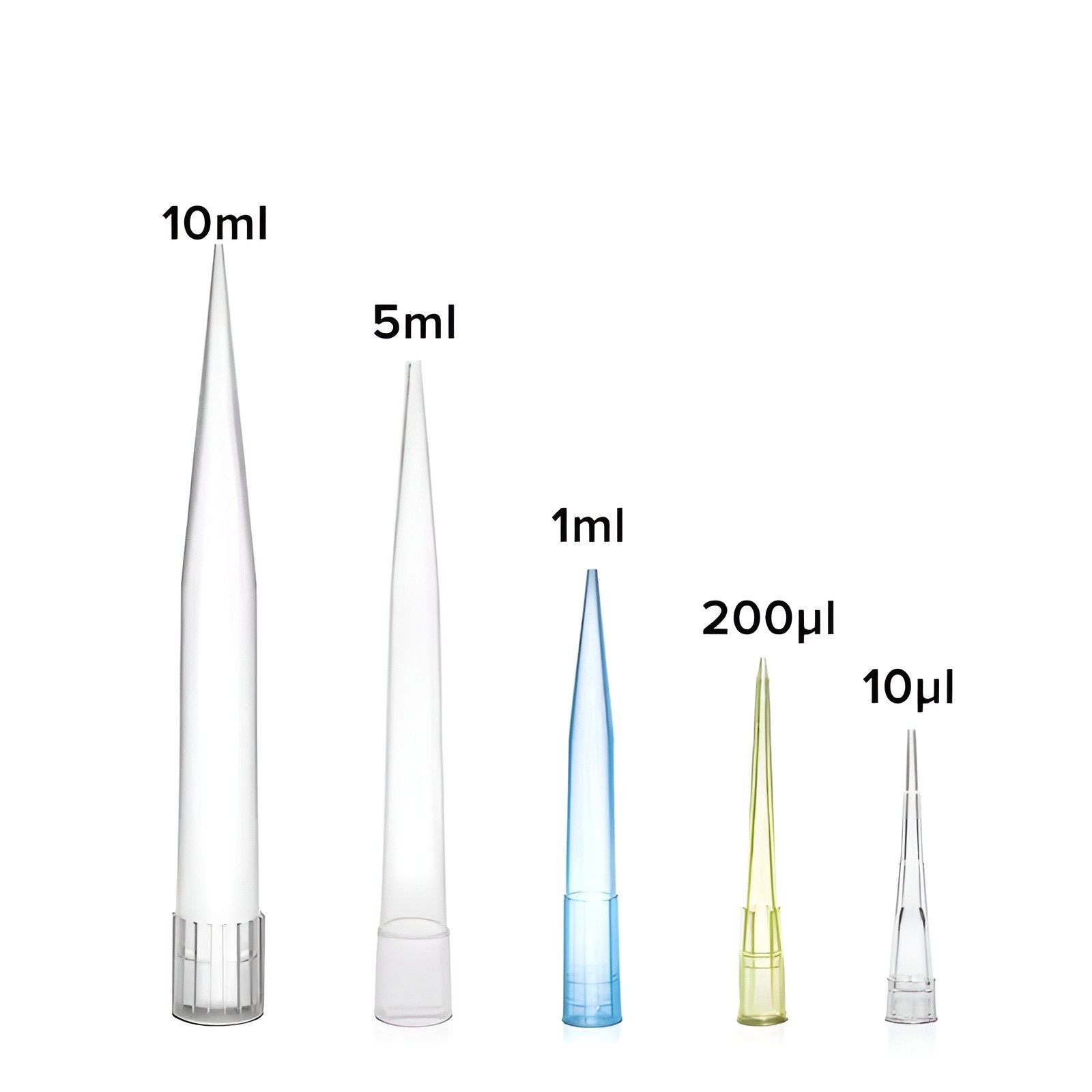 10ul 200ul 1000ul 5ml 10ml Universal Micropipette Tips Disposable For Lab