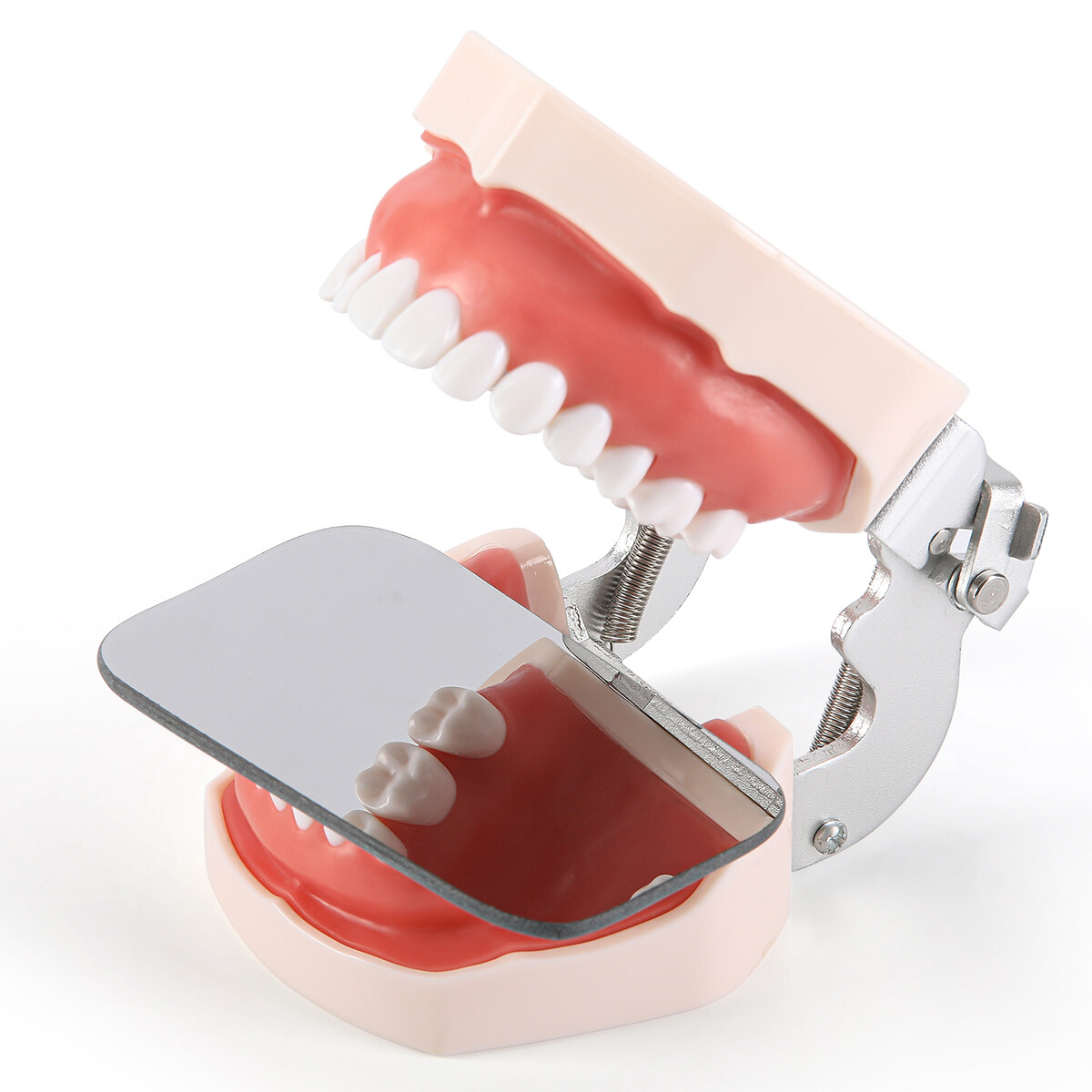Dental Double-Sided Glass Photography Mirrors Ortho Intraoral Photo Reflector