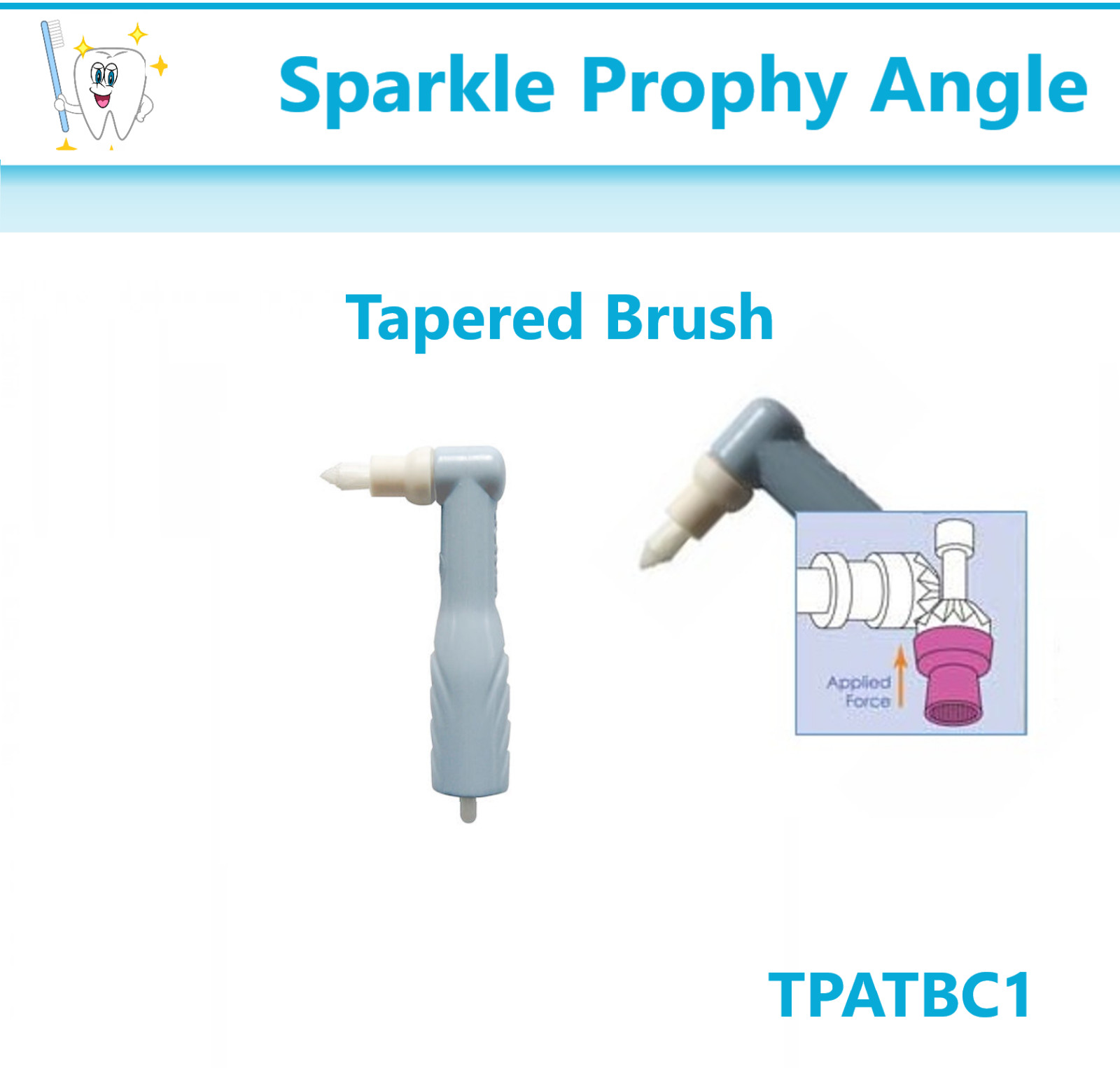Dental Prophy Angles Sparkle™ Prophy Angle Tapered Brush – Crosstex TPATBC1