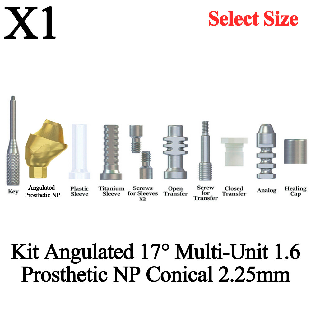 1x Kit Prosthetic Angulated 17° Multi-Unit 1.6 NP Conical 2.25mm Titanium Dental