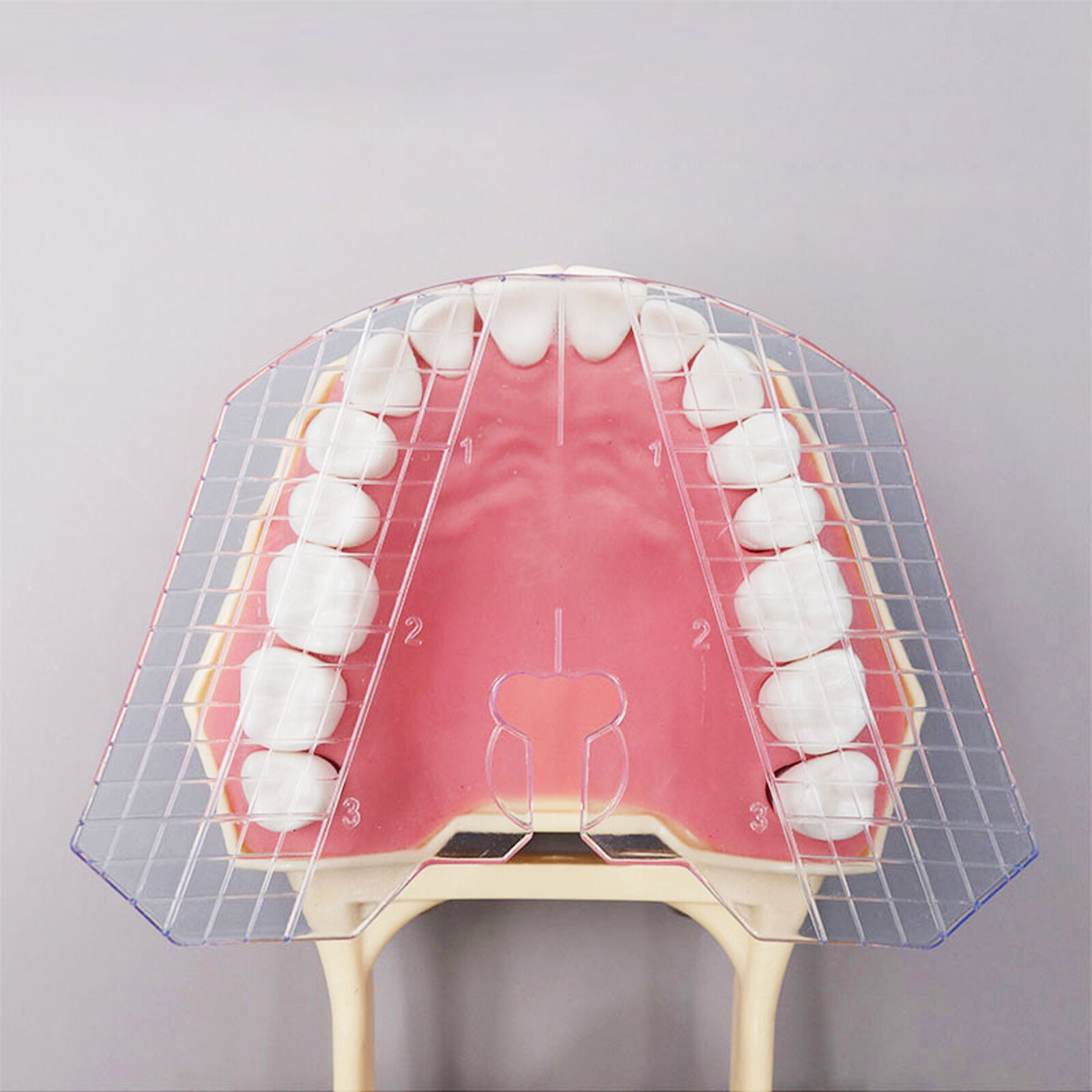 Dental Guide Template Plate For Complete Denture False Teeth Arrangement
