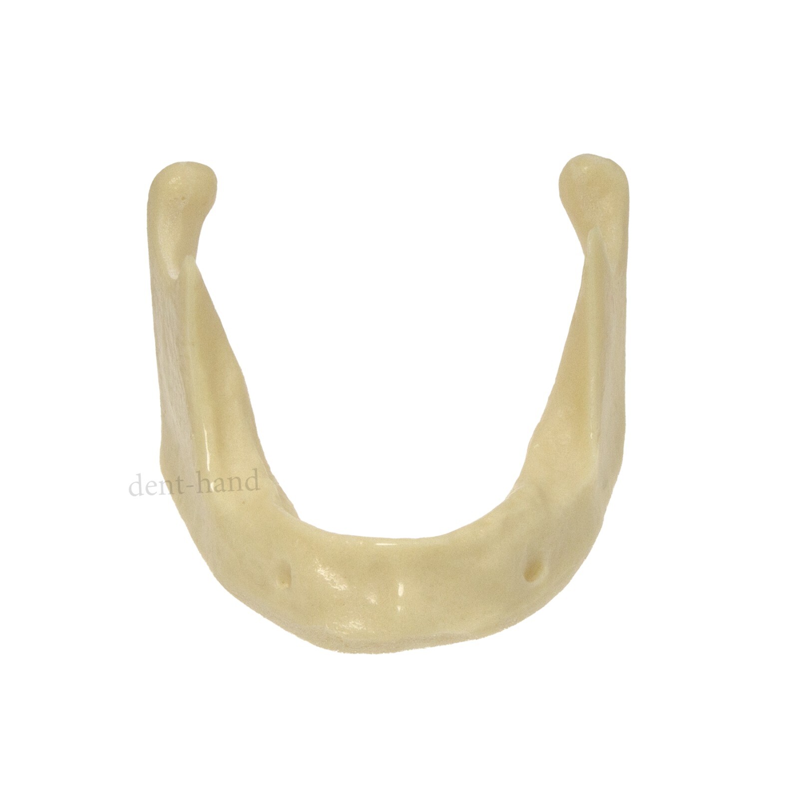 Dental Mandible Implant Jaw Bone Model For Practice Drilling M2022/2023