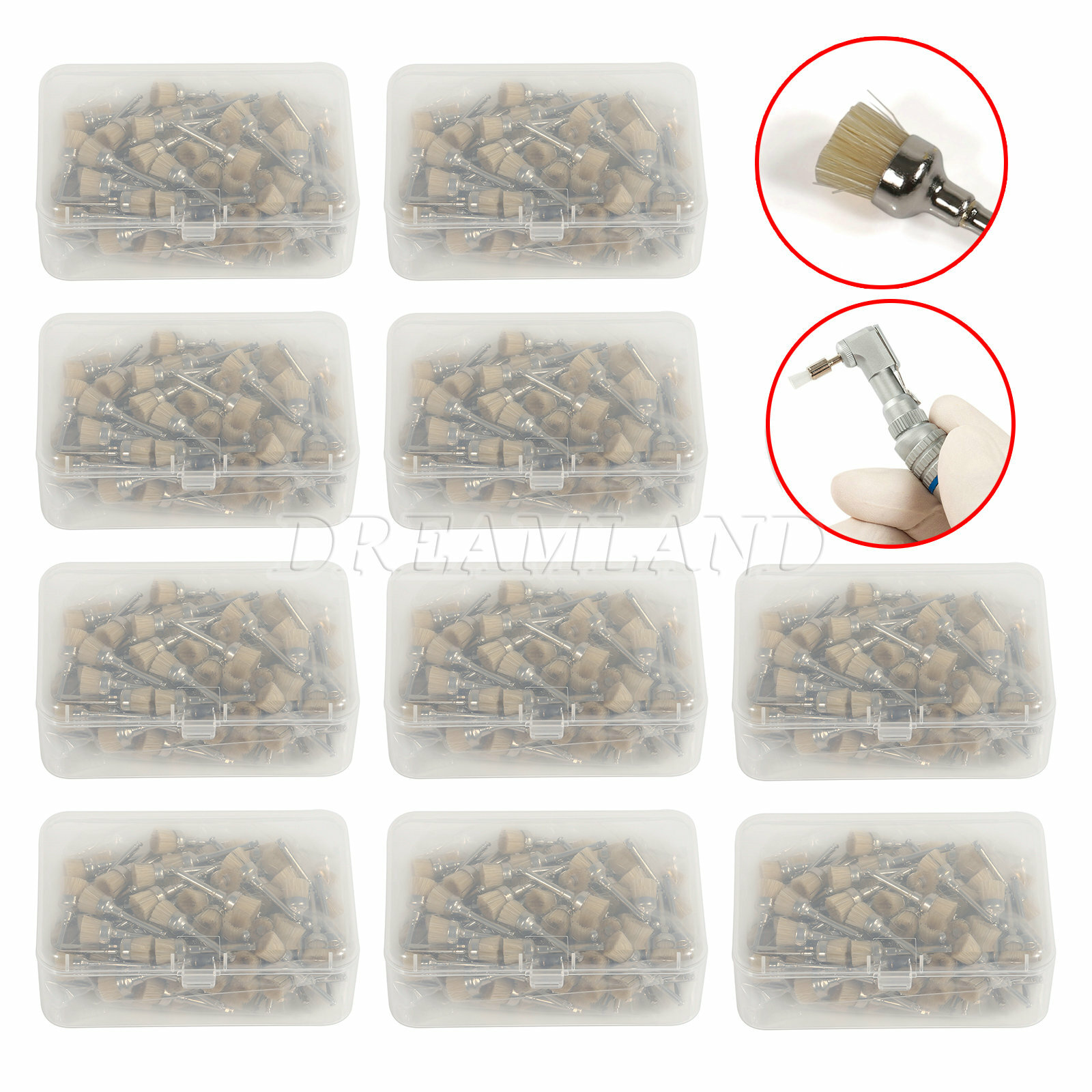 Dental Latch Type Prophy Polishing Brushes Flat Nylon Bristles Mane Brush OEM