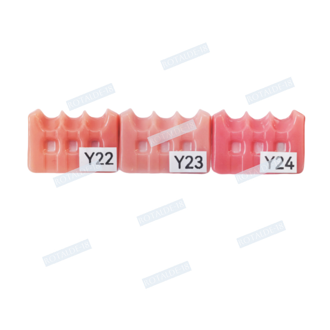 Gum Shade Gingiva Color Plate Indicator Tri-Color Gummy Model Similar SHOFU GC