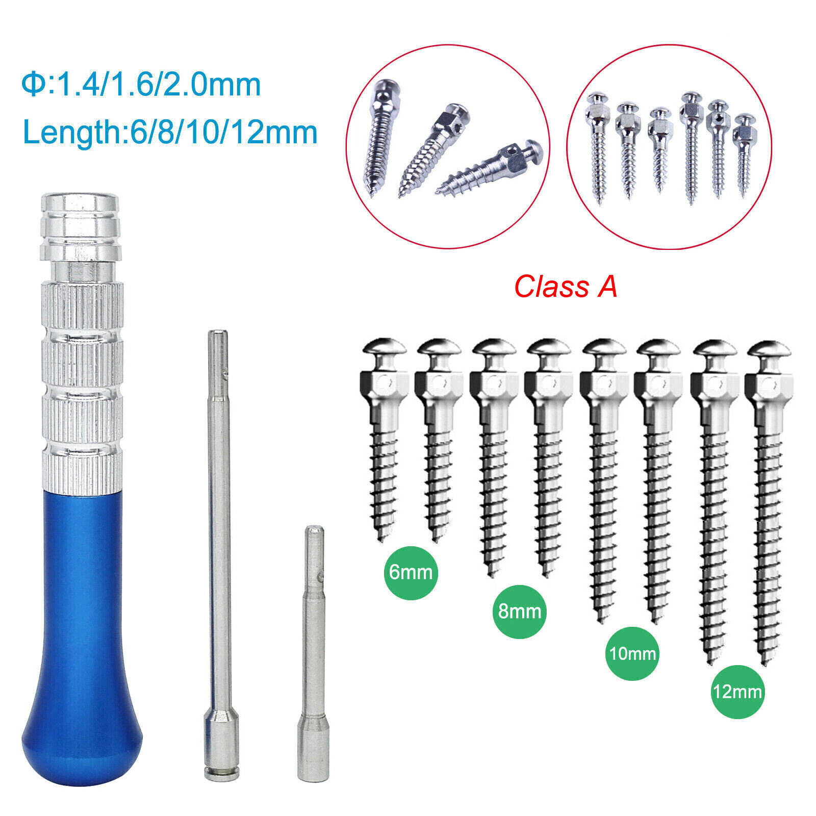 Dental Orthodontic Titanium Micro Implant Mini Screws Self-Drilling Screwdriver