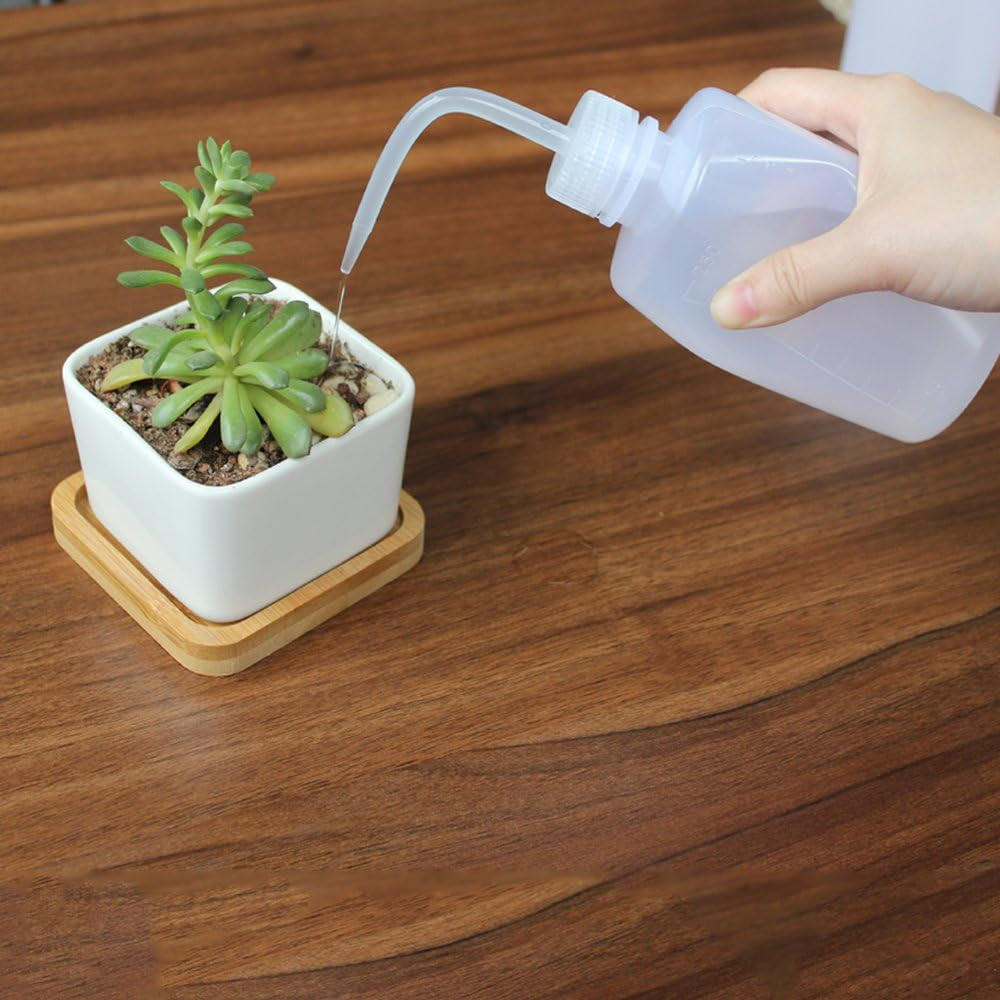 250Ml+500Ml Plastic Safety Wash Bottle, Plastic Squeeze Bottle Narrow Mouth, 8 P