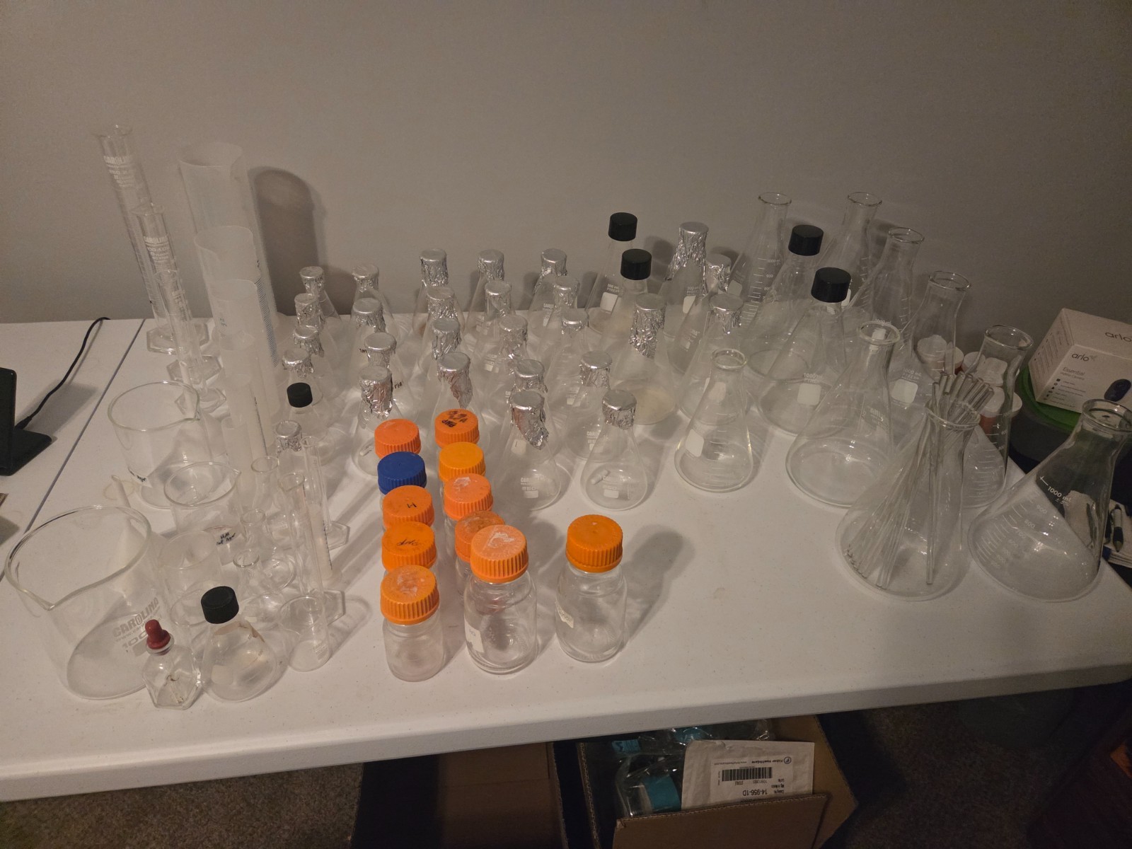 Bundle package of Pyrex and Carolina Biological flask and bottles