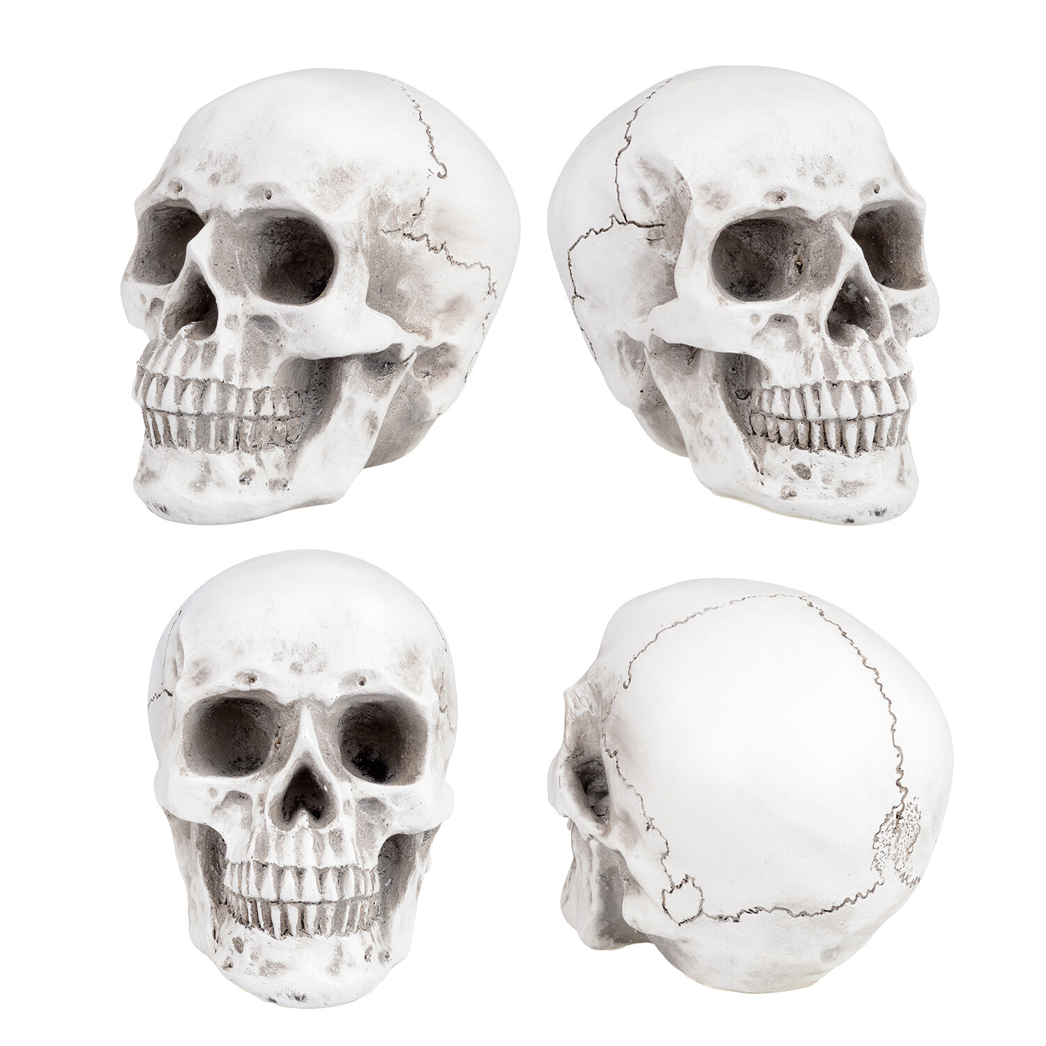 Retro Human Skull Replica Resin Anatomical Model Medical Life Size Realistic 1:1