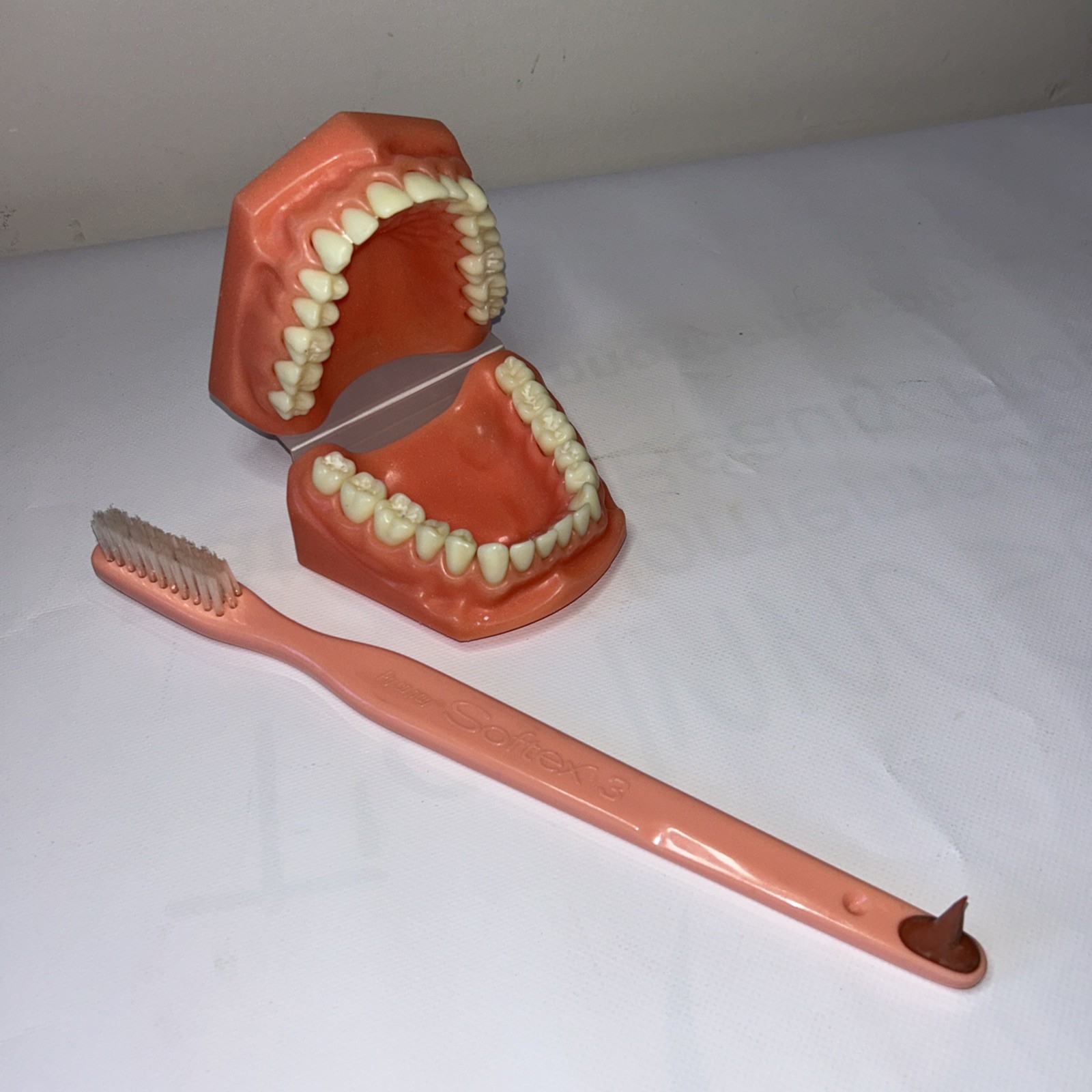 Giant Dental Care Office Display Model Teeth Brushing Flossing Education 2 Piece