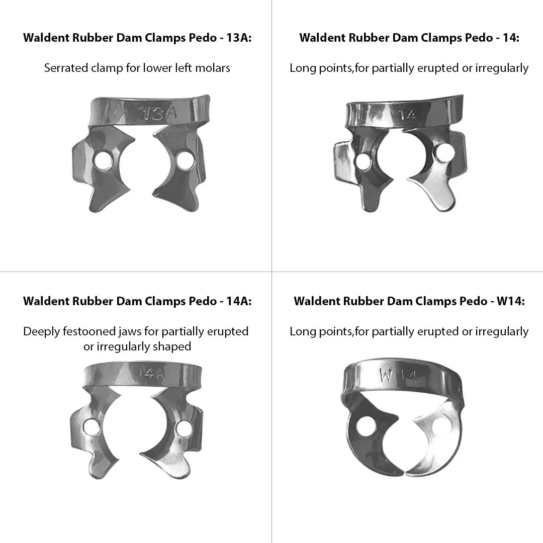 Waldent 1 x Rubber Dam Clamp Pedo Precision-designed clamps for secure isolation