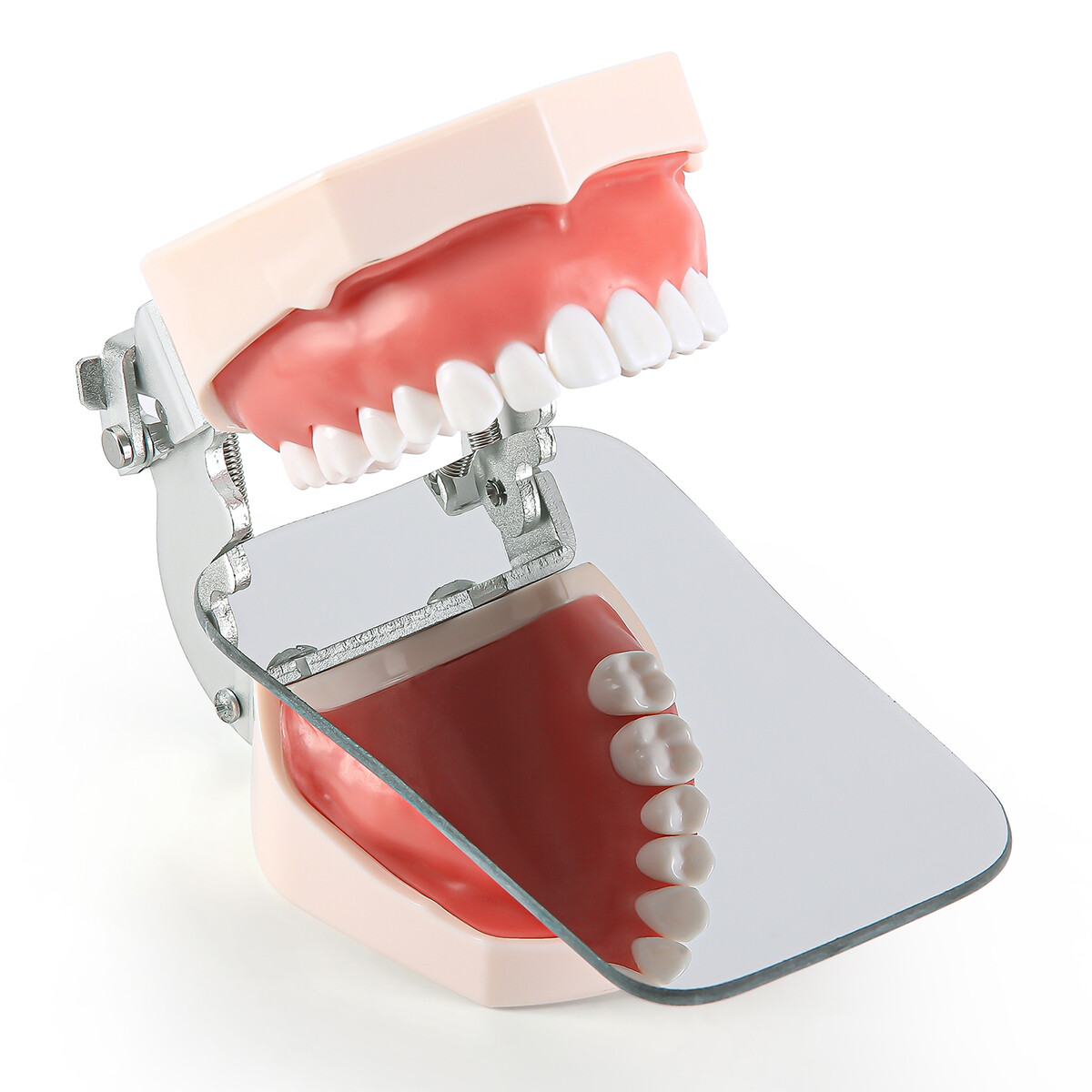 Dental Double-Sided Glass Photography Mirrors Ortho Intraoral Photo Reflector