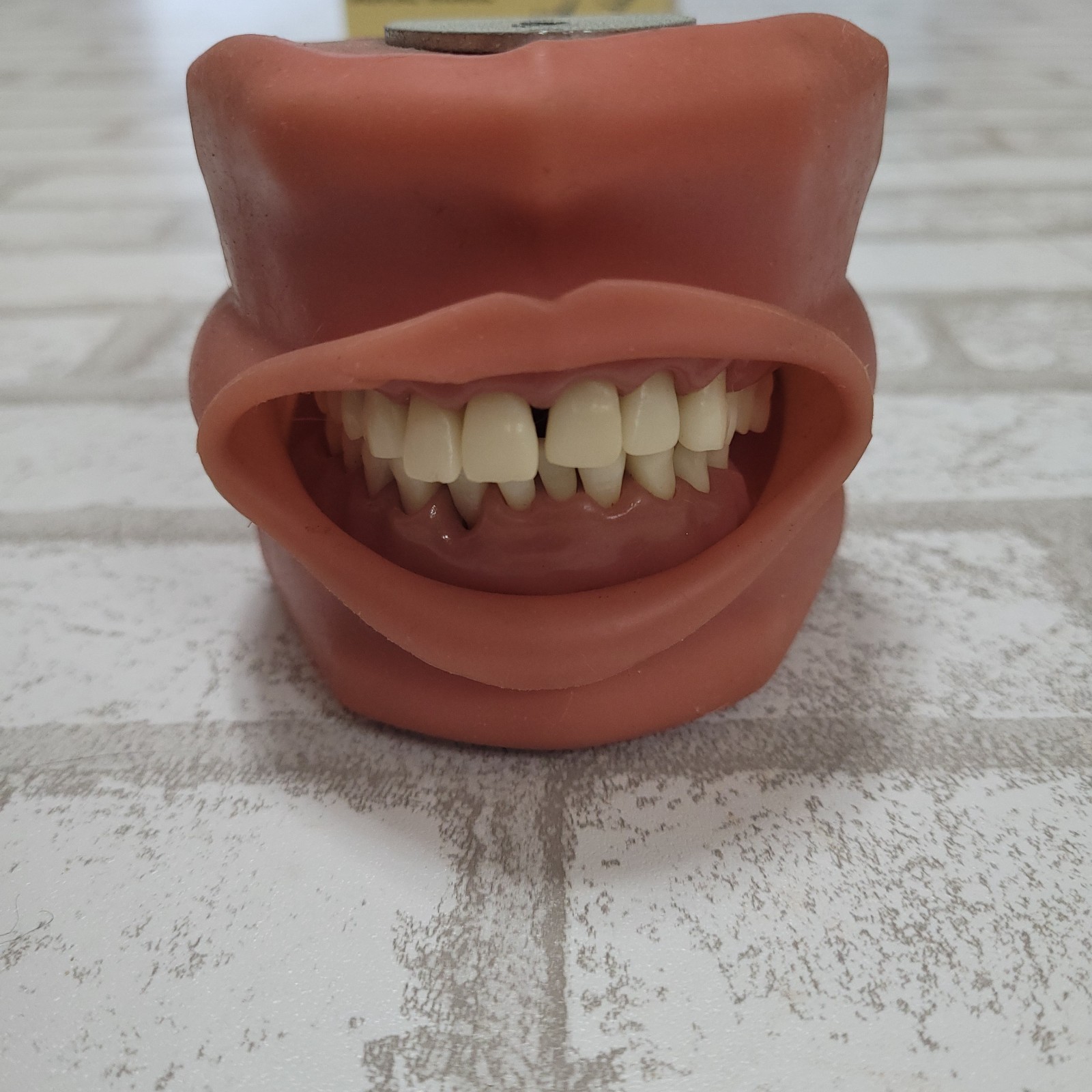 Dental Model Typodont Kilgore Nissin P15DP-TR.56C.1(GSF) Flaws Used