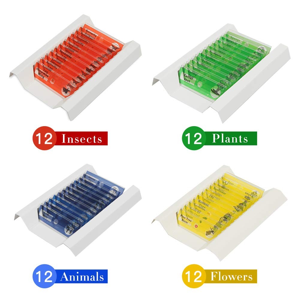 48 Prepared Microscope Slides Set of Animals Insects Plants Flowers, 48pcs