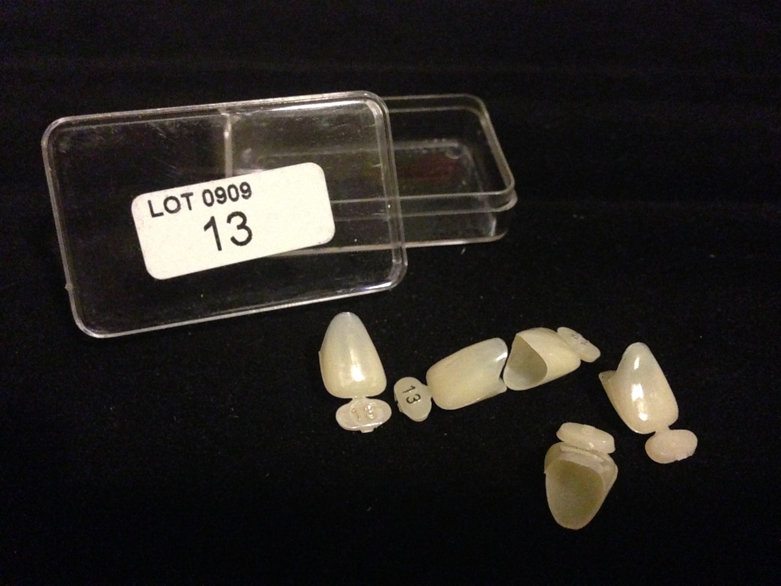 Dental Polycarbonate Temporary Crowns 5 pcs #13